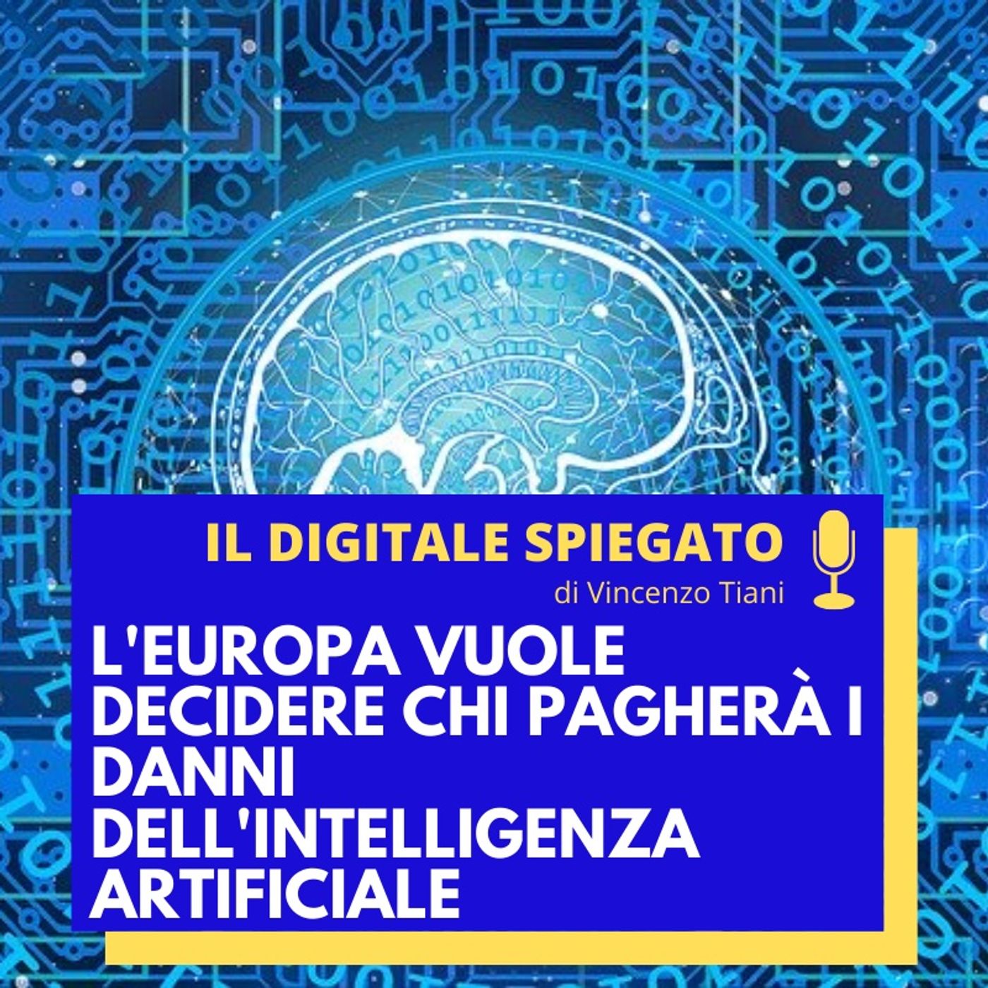 Vincenzo Tiani - Il Digitale Spiegato [ita]