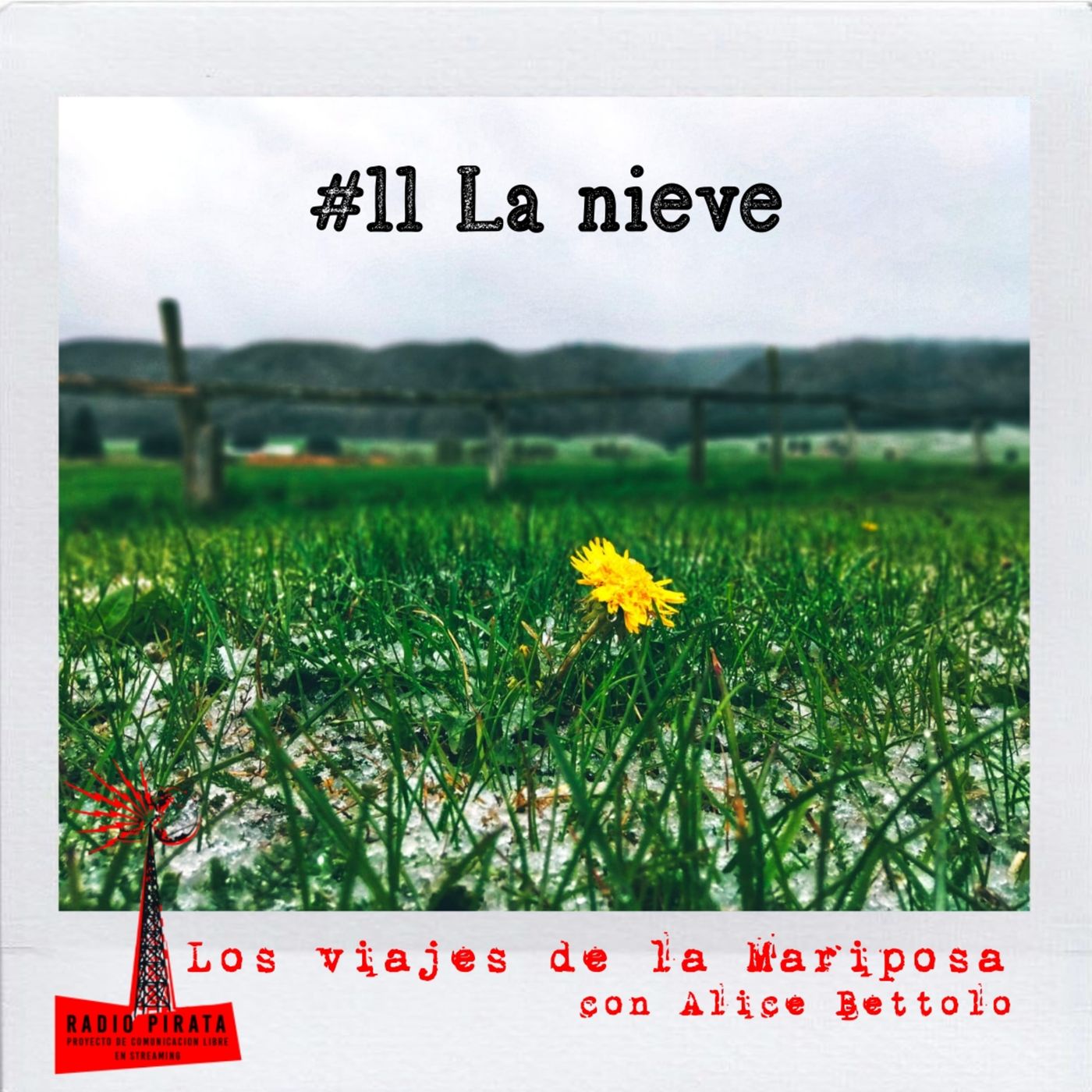 La Radio Pirata - Alice Bettolo