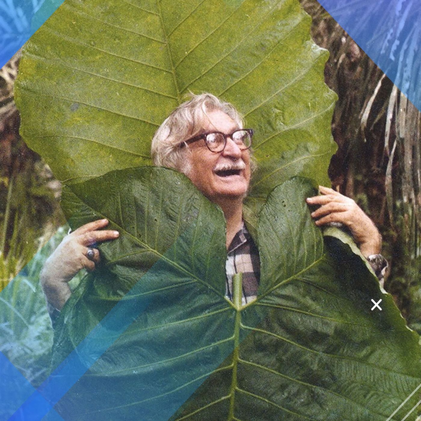 Burle Marx no Bioparque episode artwork