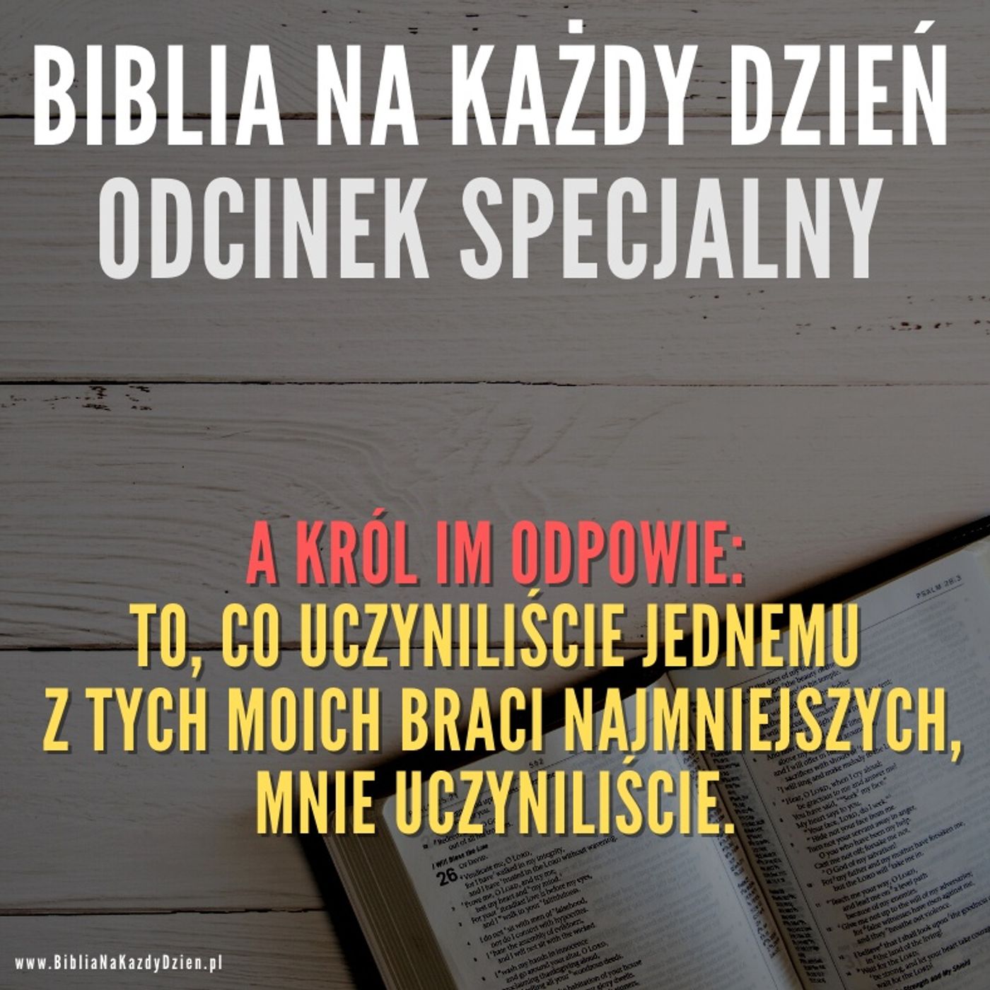 BNKD odcinek specjalny 02 episode artwork