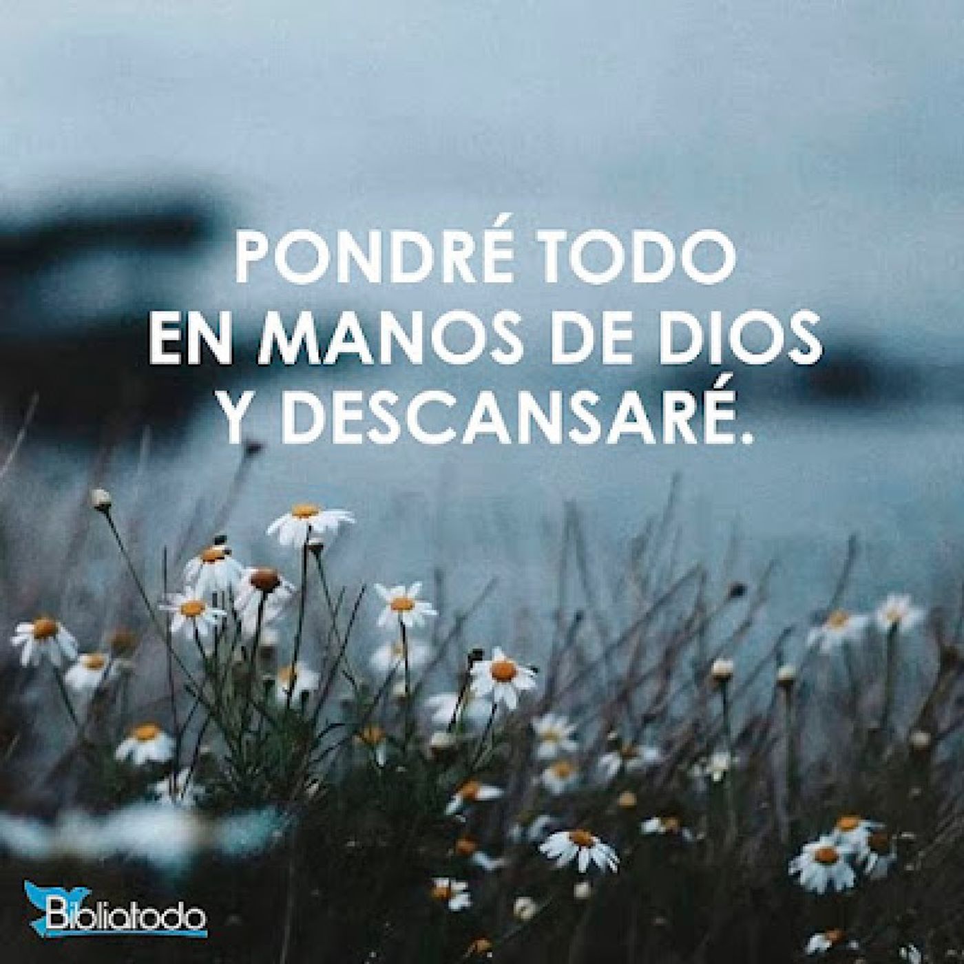 La Reflexión del Día "Descansar en Dios" episode artwork