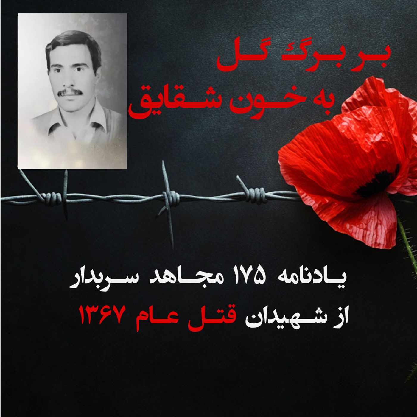 بربرگ گل به خون شقایق- ایرج لشکری