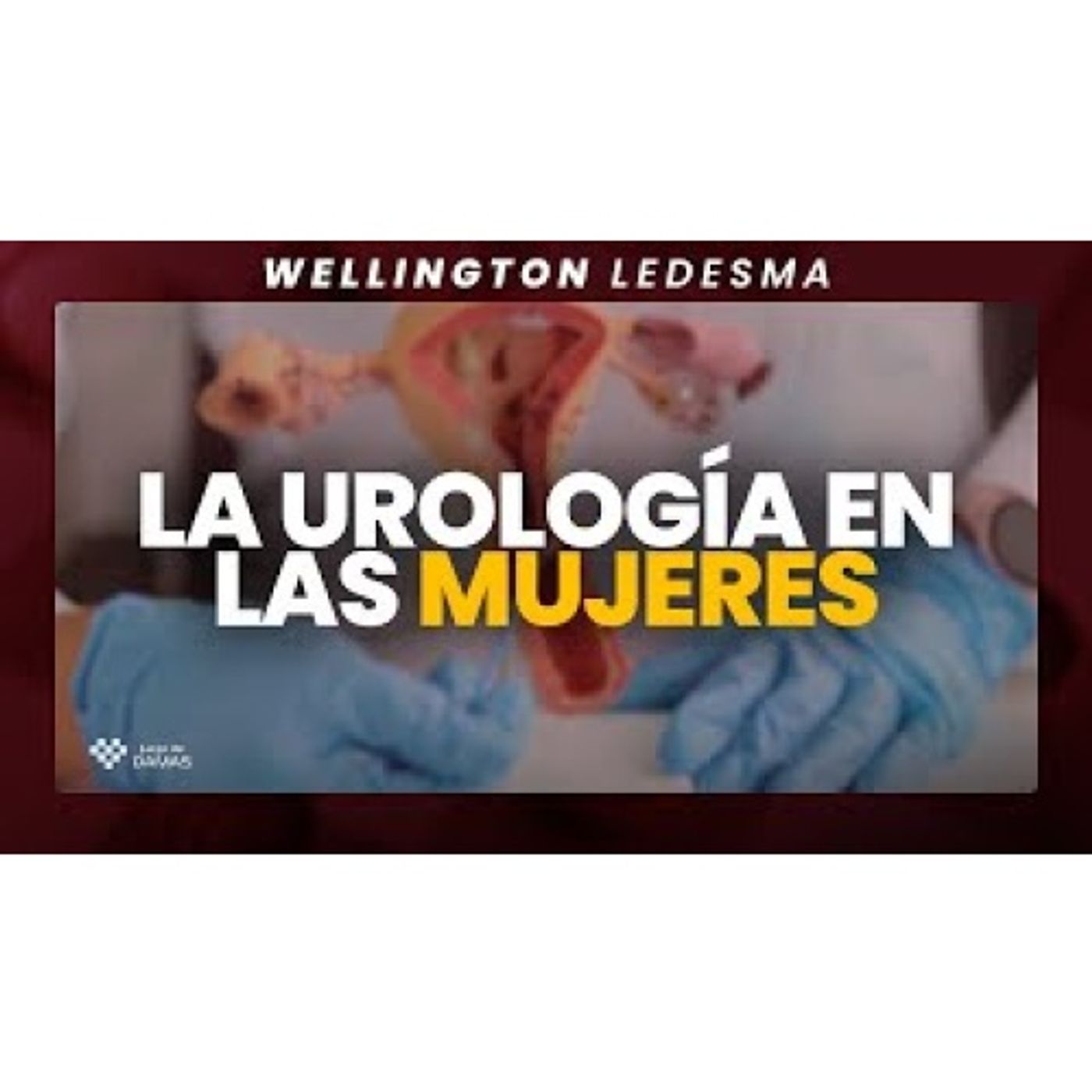 La Urología en las mujeres _ Welintong Ledesma episode artwork