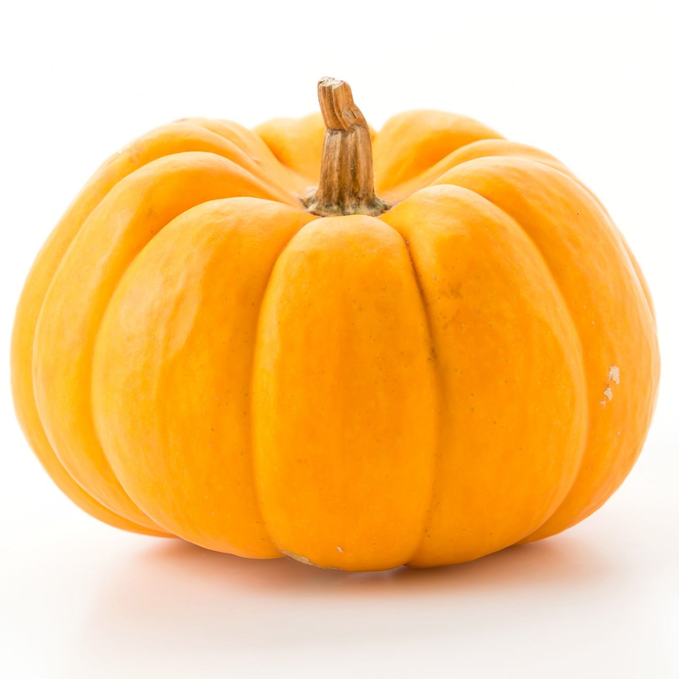 Zucca: centrifugati, ricette e usi inattesi per depurare e rinforzare l’organismo episode artwork