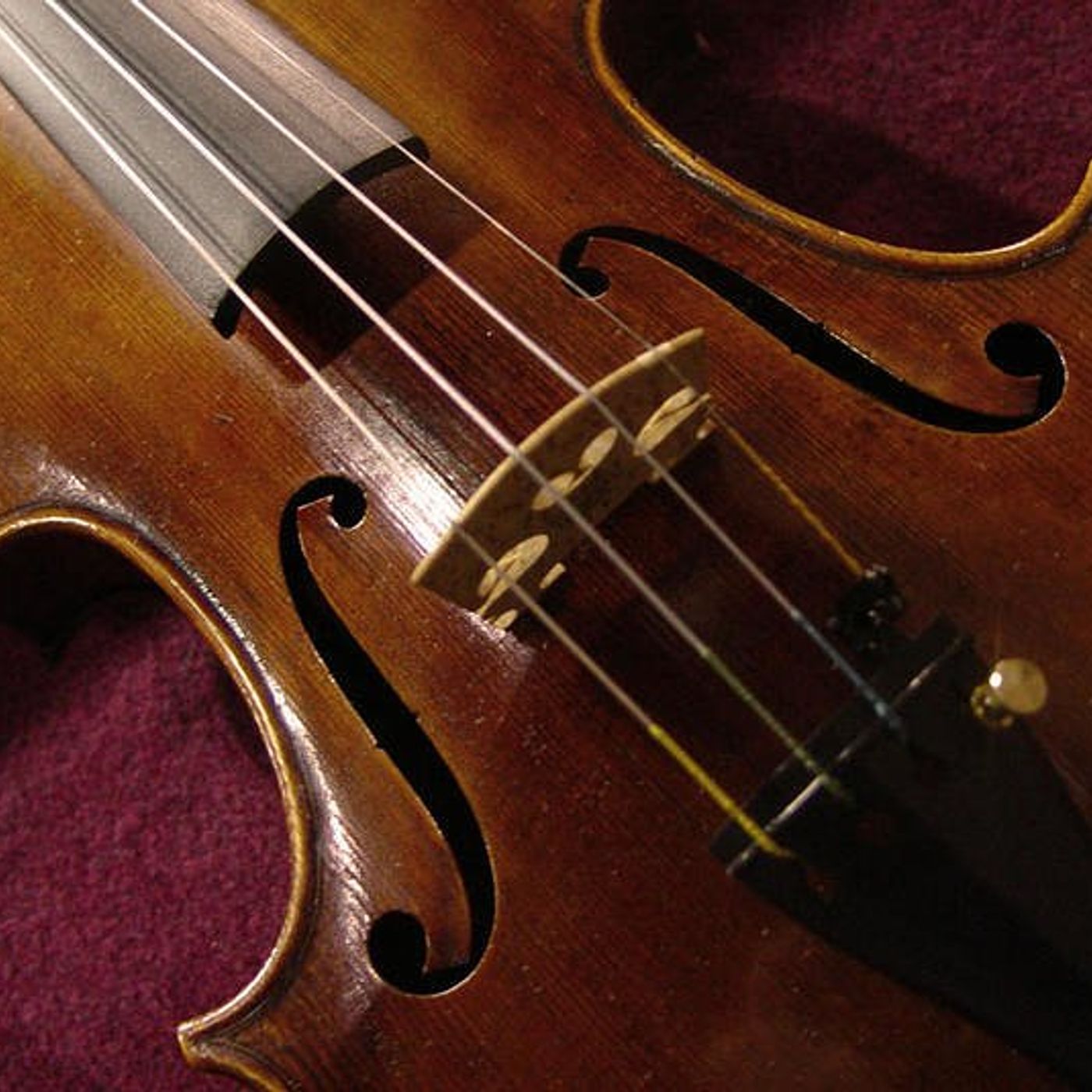 Yorkville Public Library holding concerts, job coaching as part of special programming episode artwork