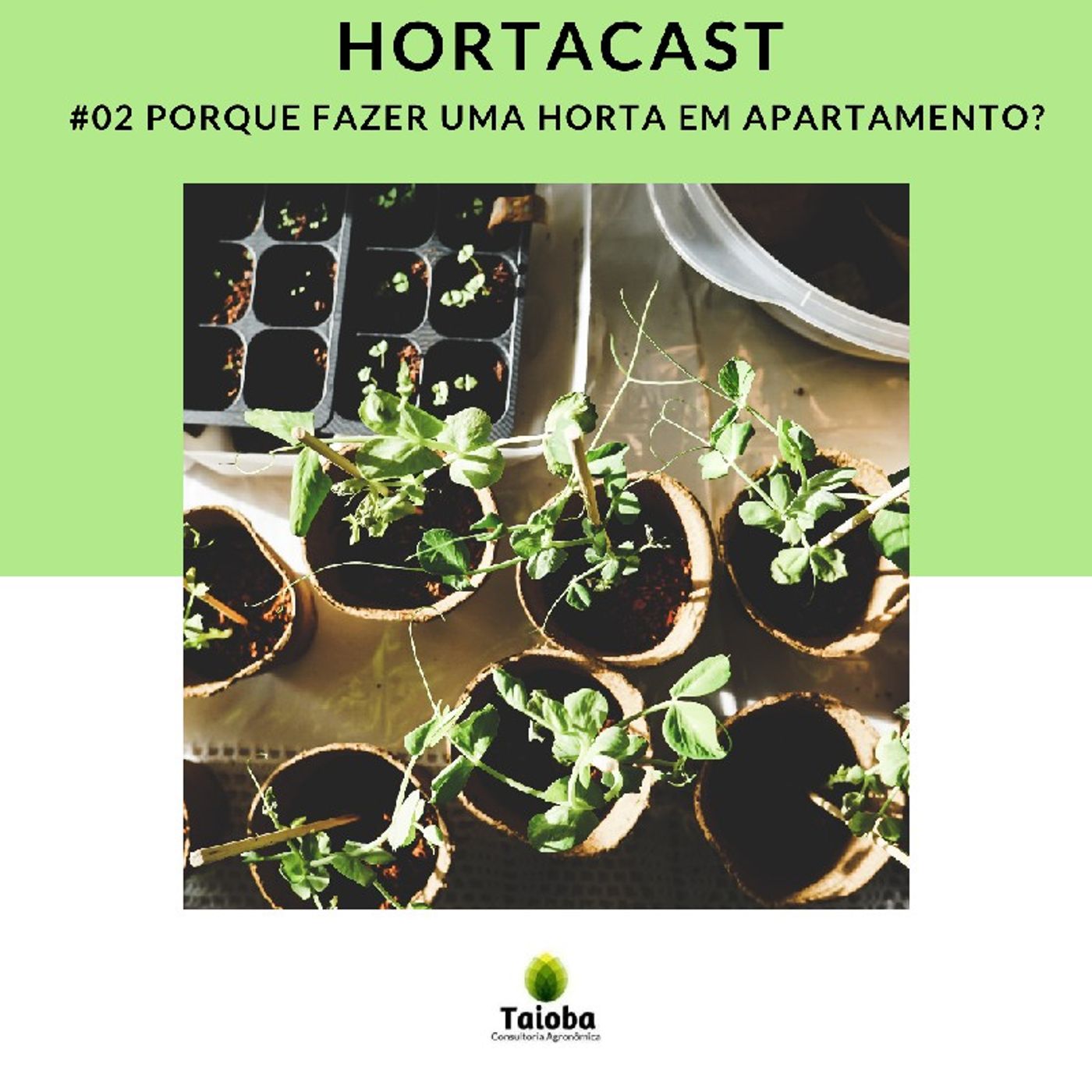 HortaCast\'s show