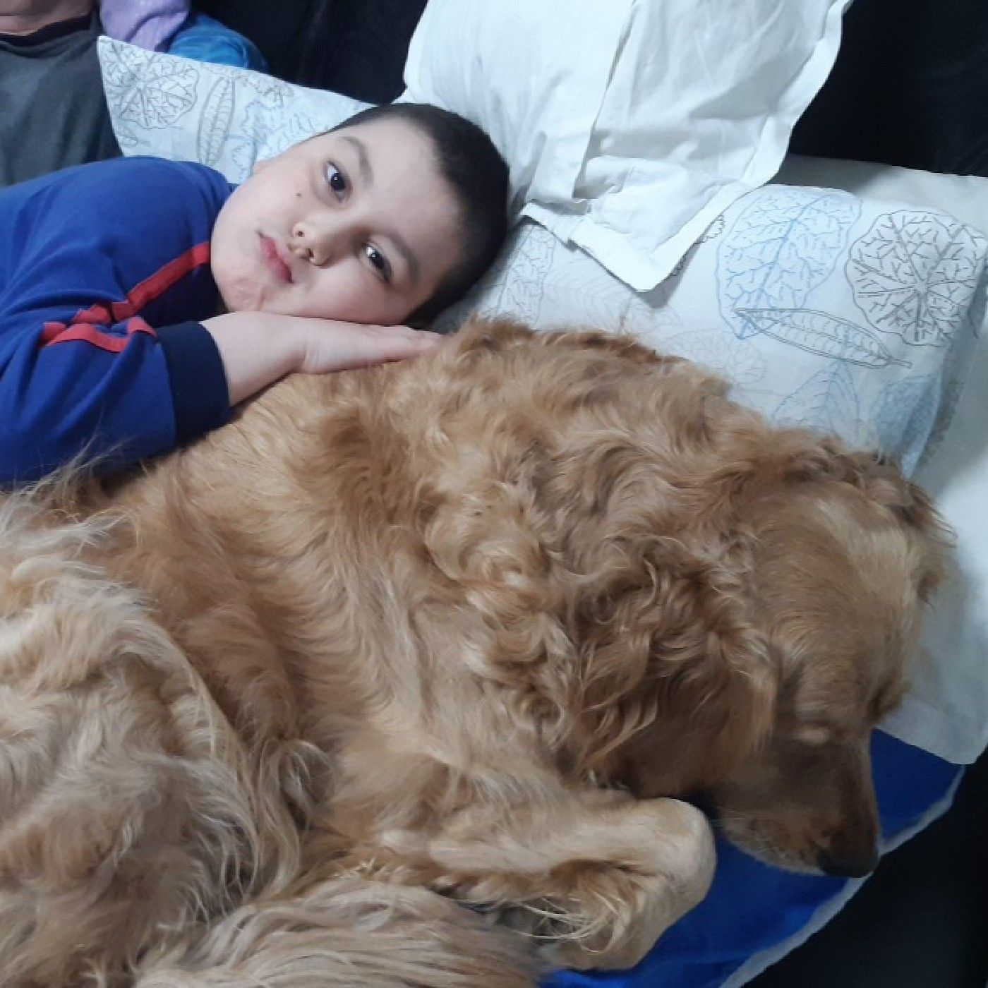 Alessandro e Maya