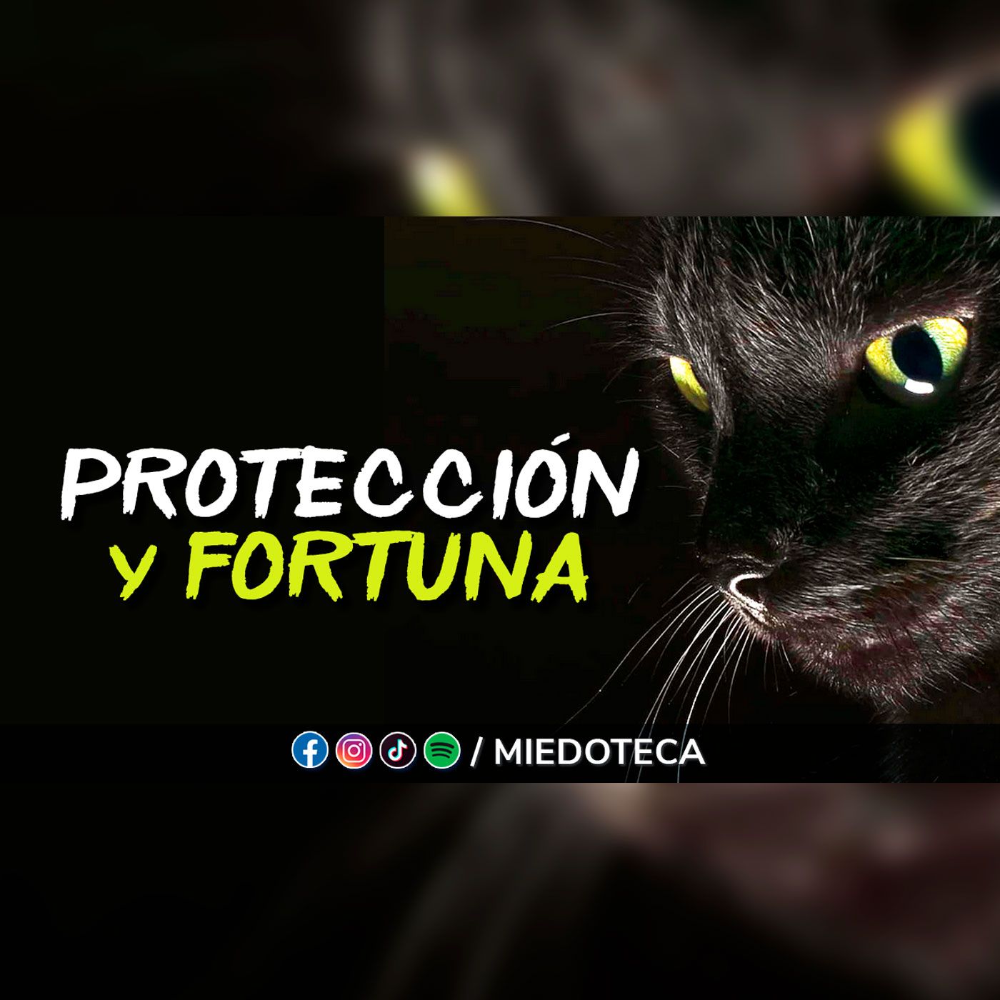 Viaje a Través de la Historia y las Creencias - Gatos negros episode artwork