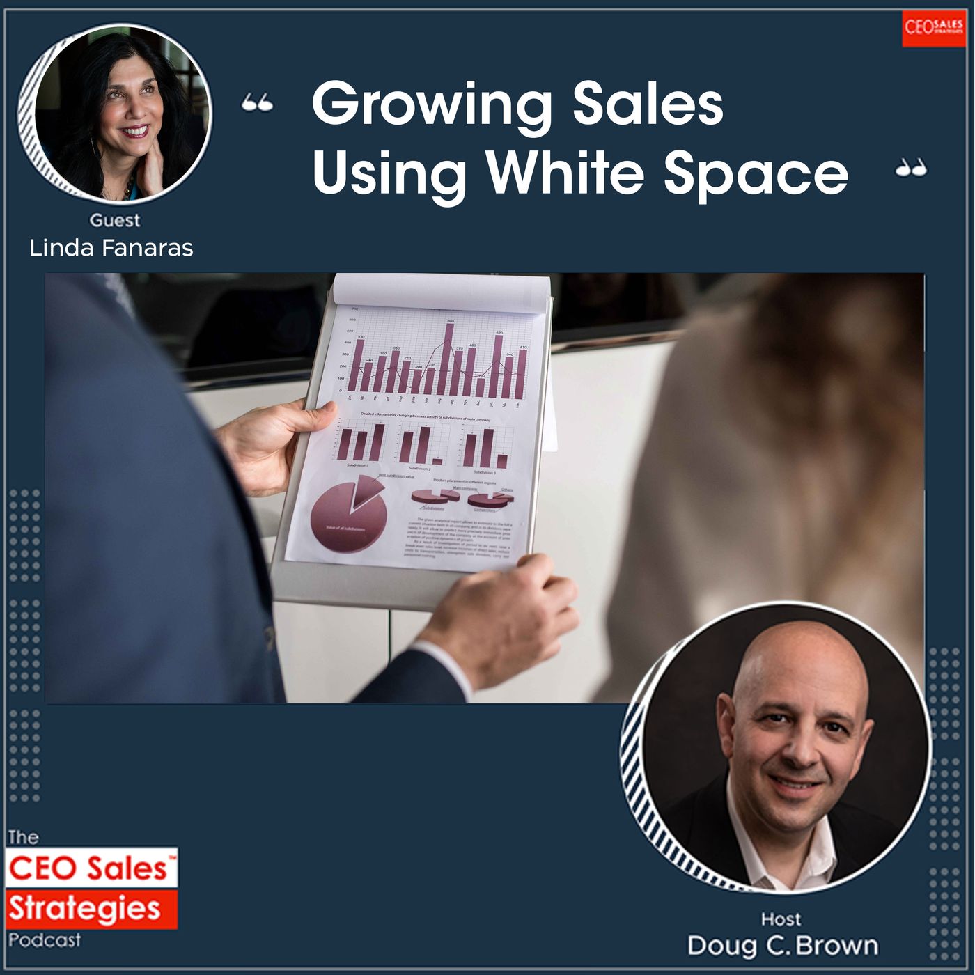 CEO Sales Strategies