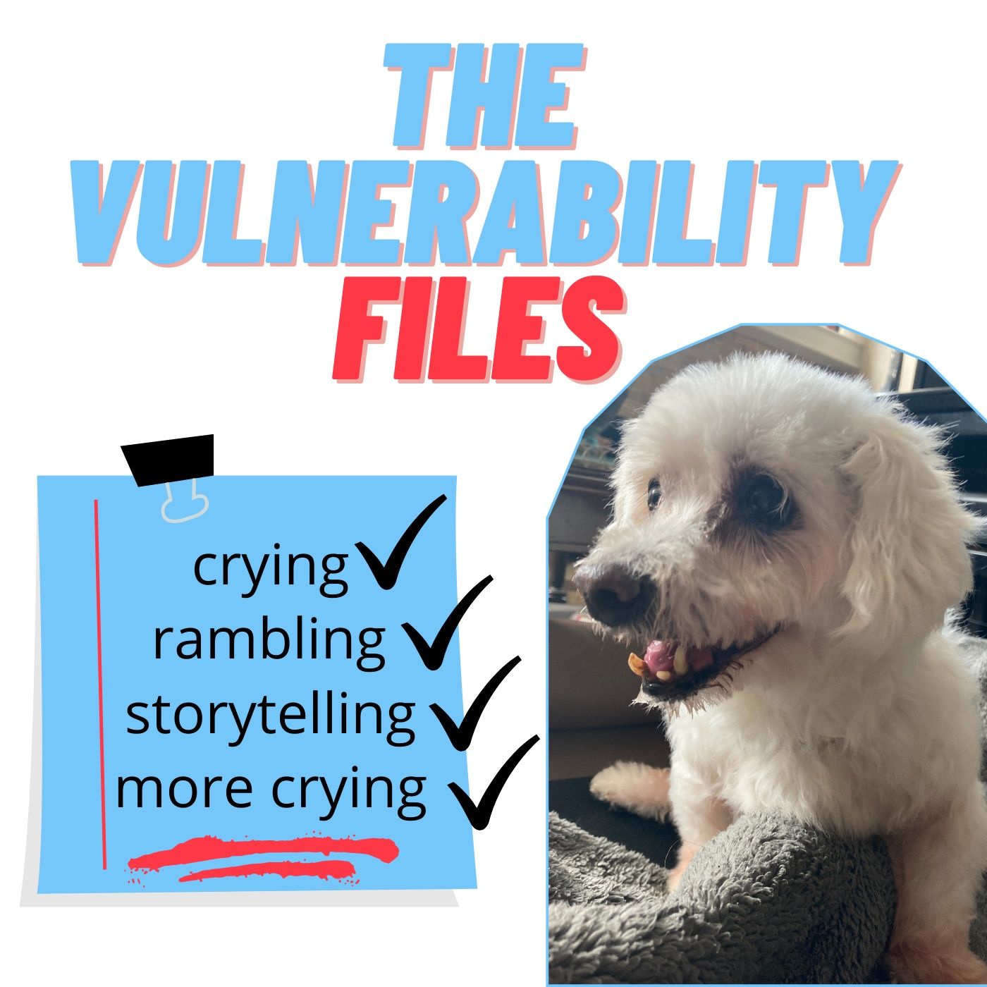The Vulnerability Files