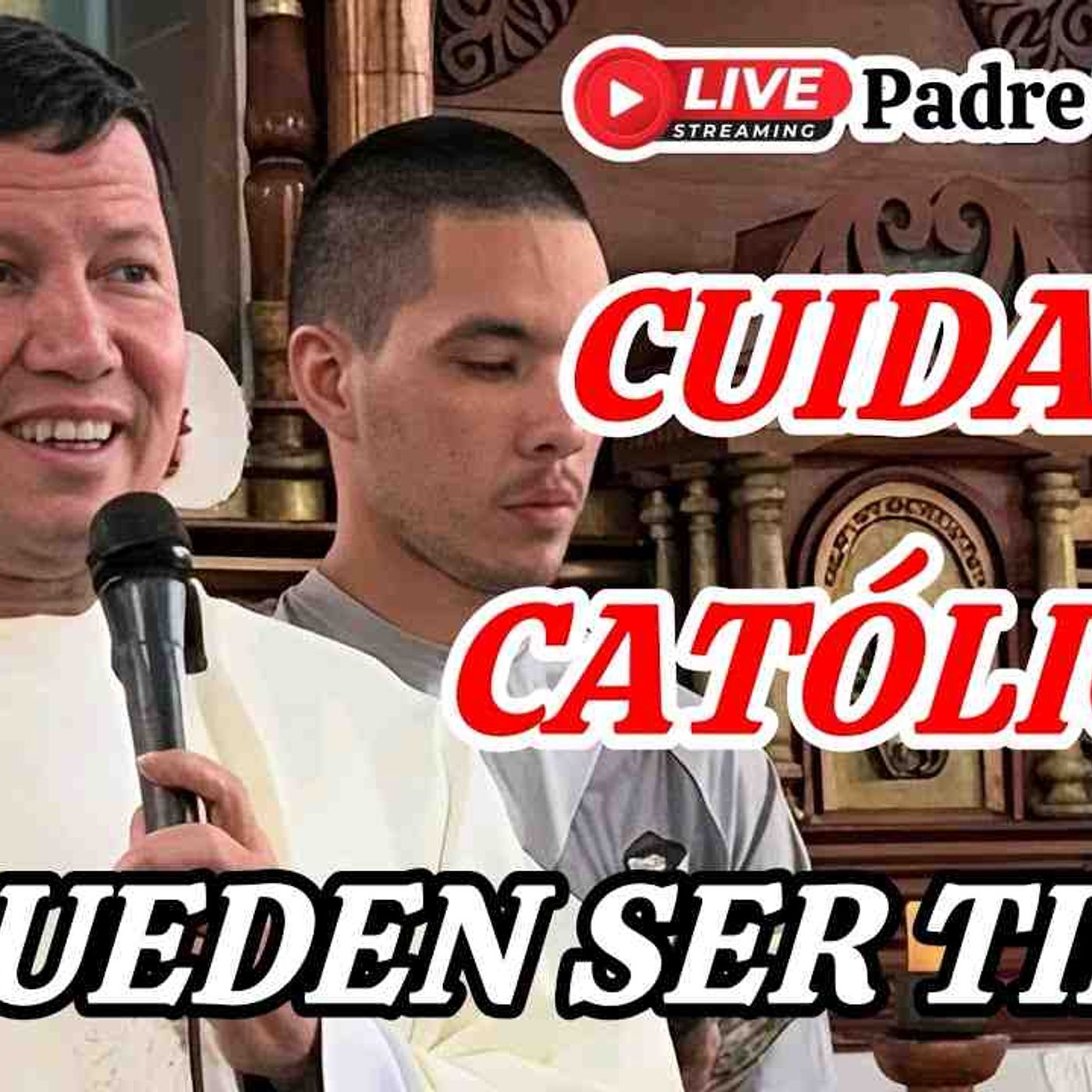 95-26_ _NO TODO EL QUE ME DICE SEÑOR SEÑOR Entrará en el REINO DE LOS CIELOS_Padre Luis Toro episode artwork