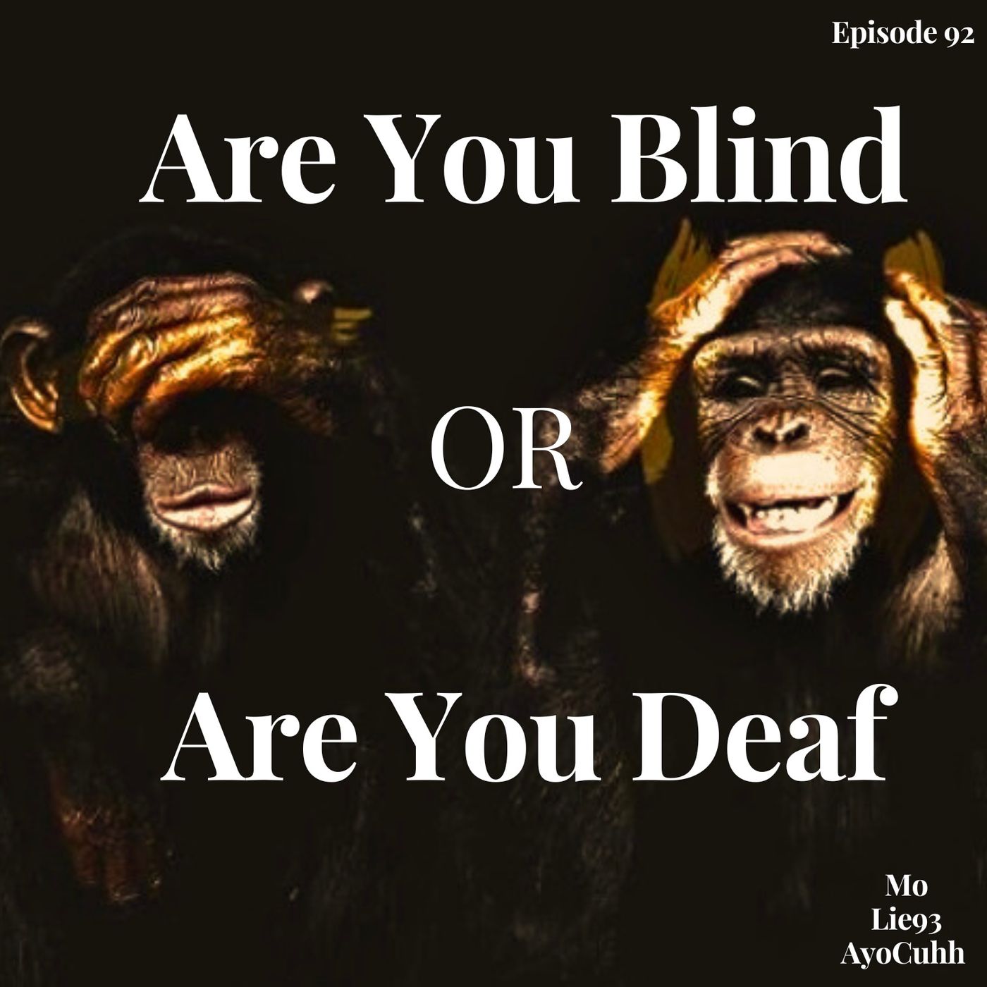 Are You Blind or Are You Deaf