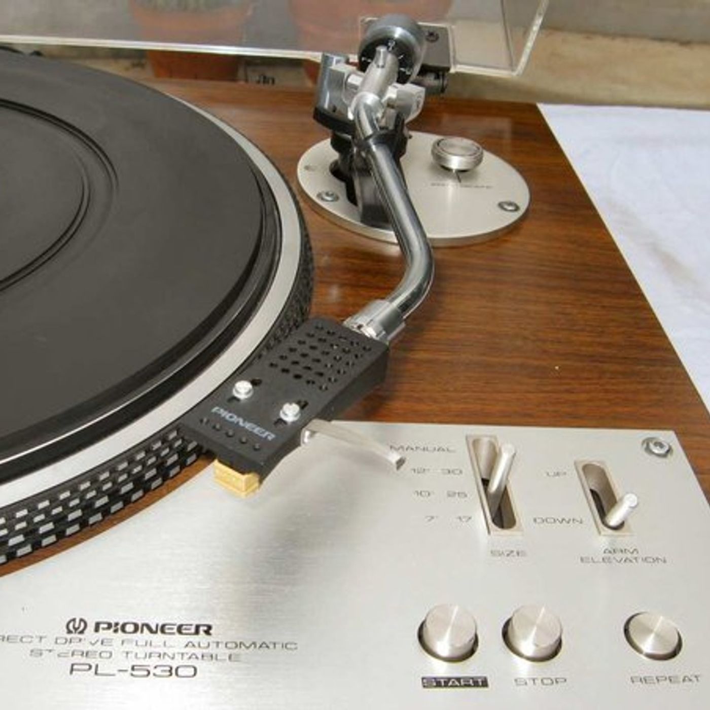 Everything 80s Patreon Feed