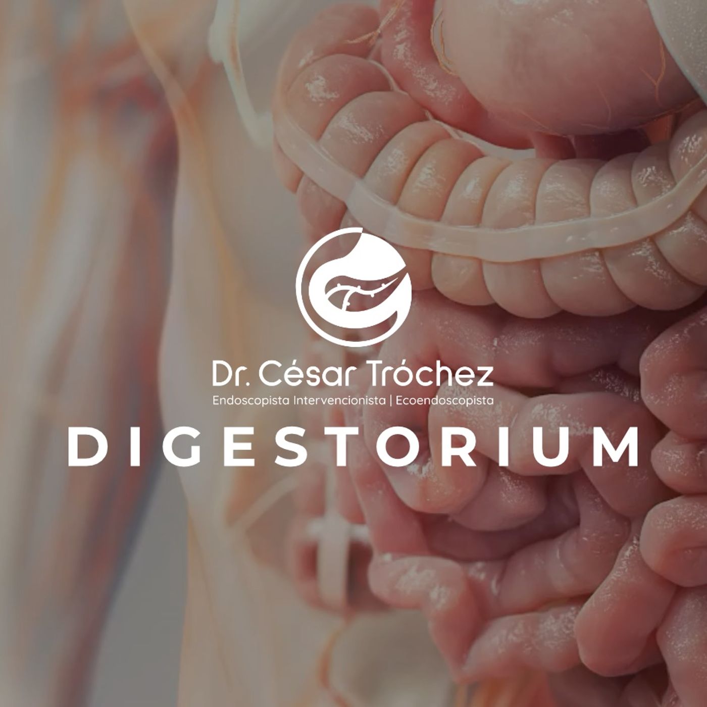 Digestorium