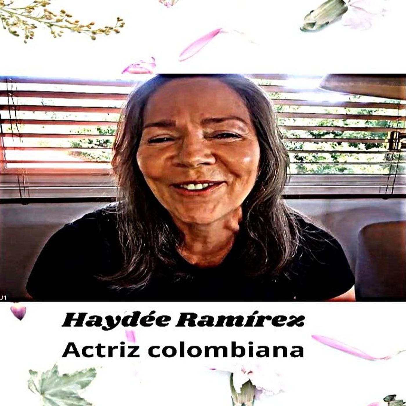 Portada de Programas de gama Stéreo y gamaColombia