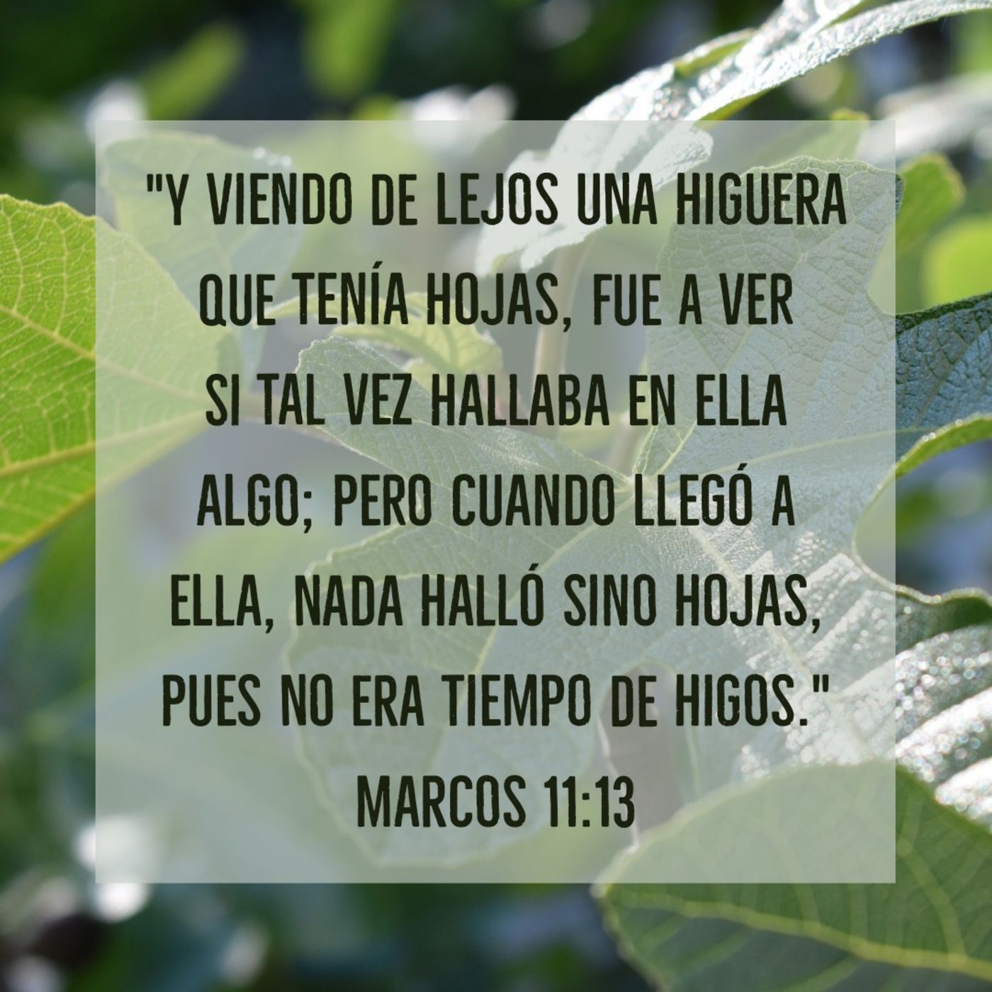Evangelio de Marcos