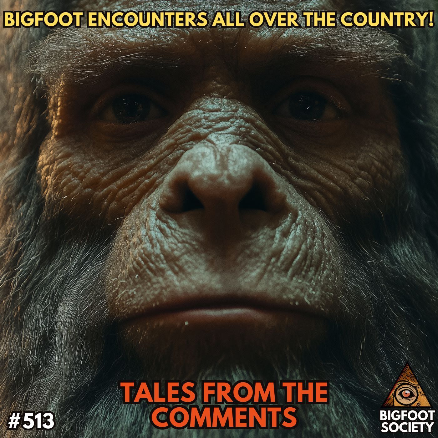 Bigfoot Encounters All Over the USA! Tales from the Comments