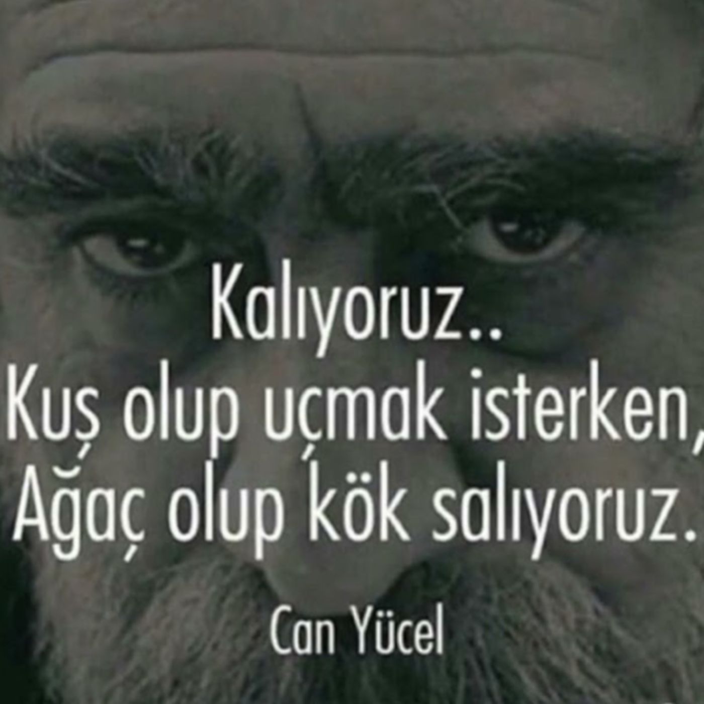 Şiirler Ve Kitaplar