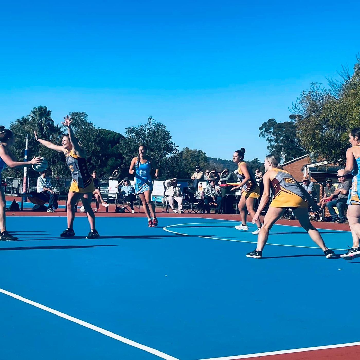 Hume Netball's Carla Fletcher analyses the latest finals action on the Flow Friday Sports Show episode artwork
