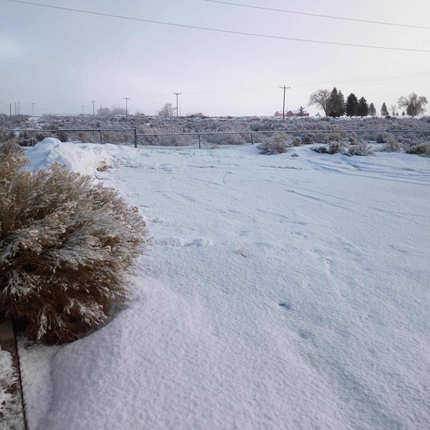 Morning News 3/4/25 - Snow?  Hopefully!  County Commission Budget Workshop episode artwork