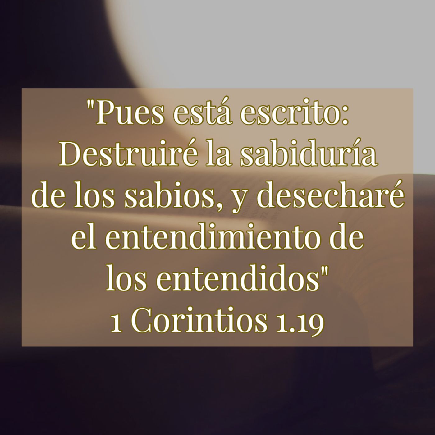 Reflexiones