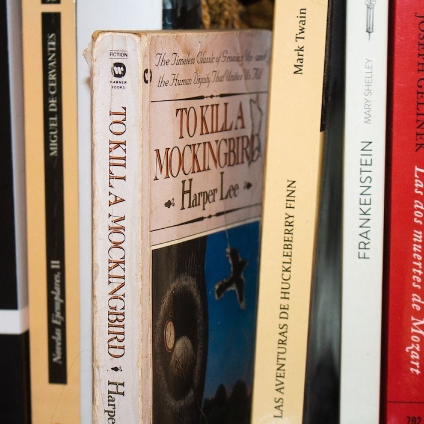 There’s a book club to match your interest at the Yorkville Library episode artwork