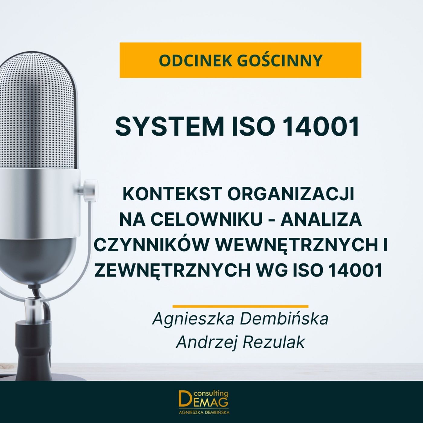 Demag - doradztwo techniczne