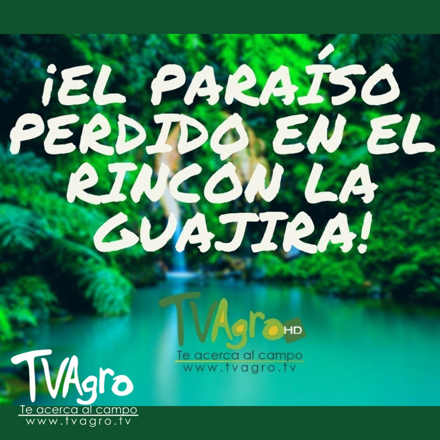 TV AGRO