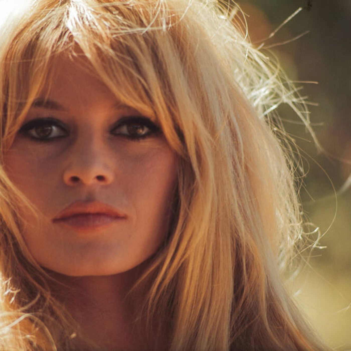Francia24: Brigitte Bardot nuovamente ricoverata - Sarkozy ha scritto un libro sulle sue prigioni - BHV, resterà solo Shein? - Meteo Parigi
