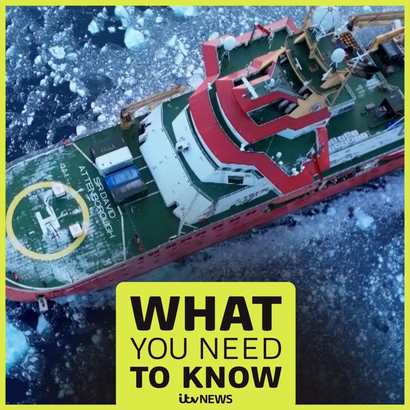 What You Need To Know