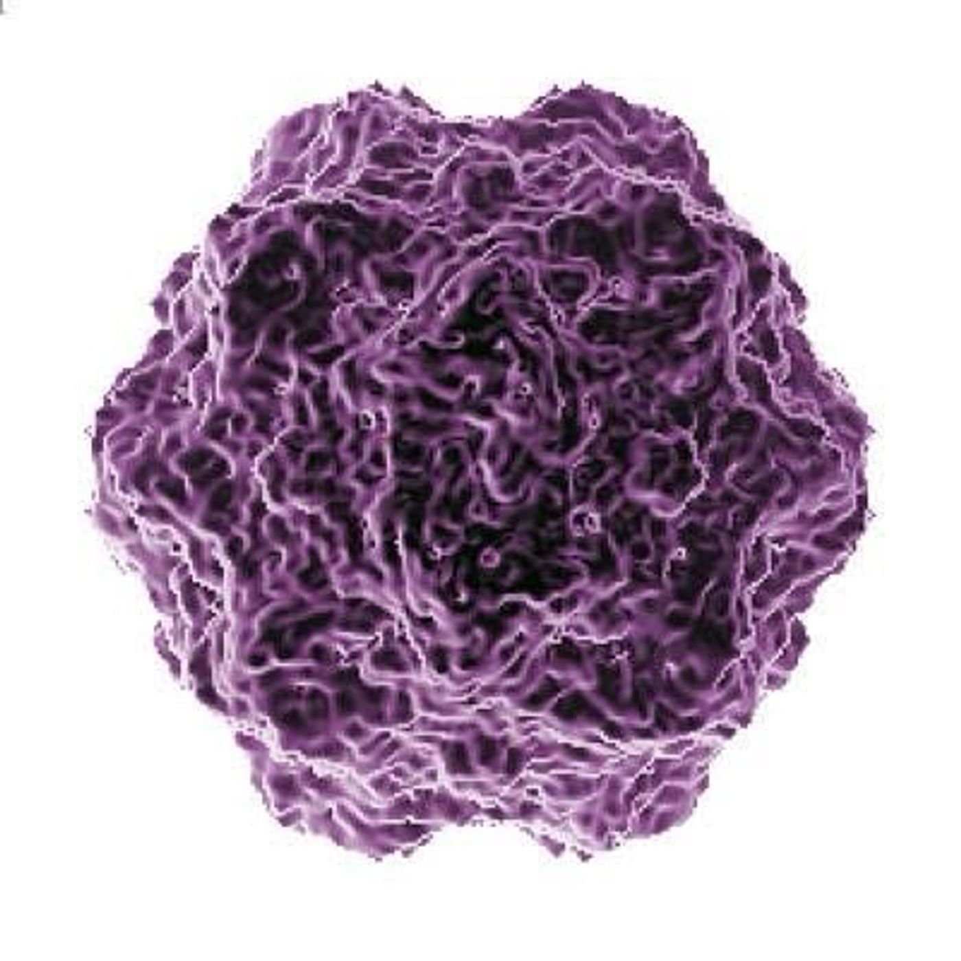 VIRUS DEL SARAMPIÓN episode artwork