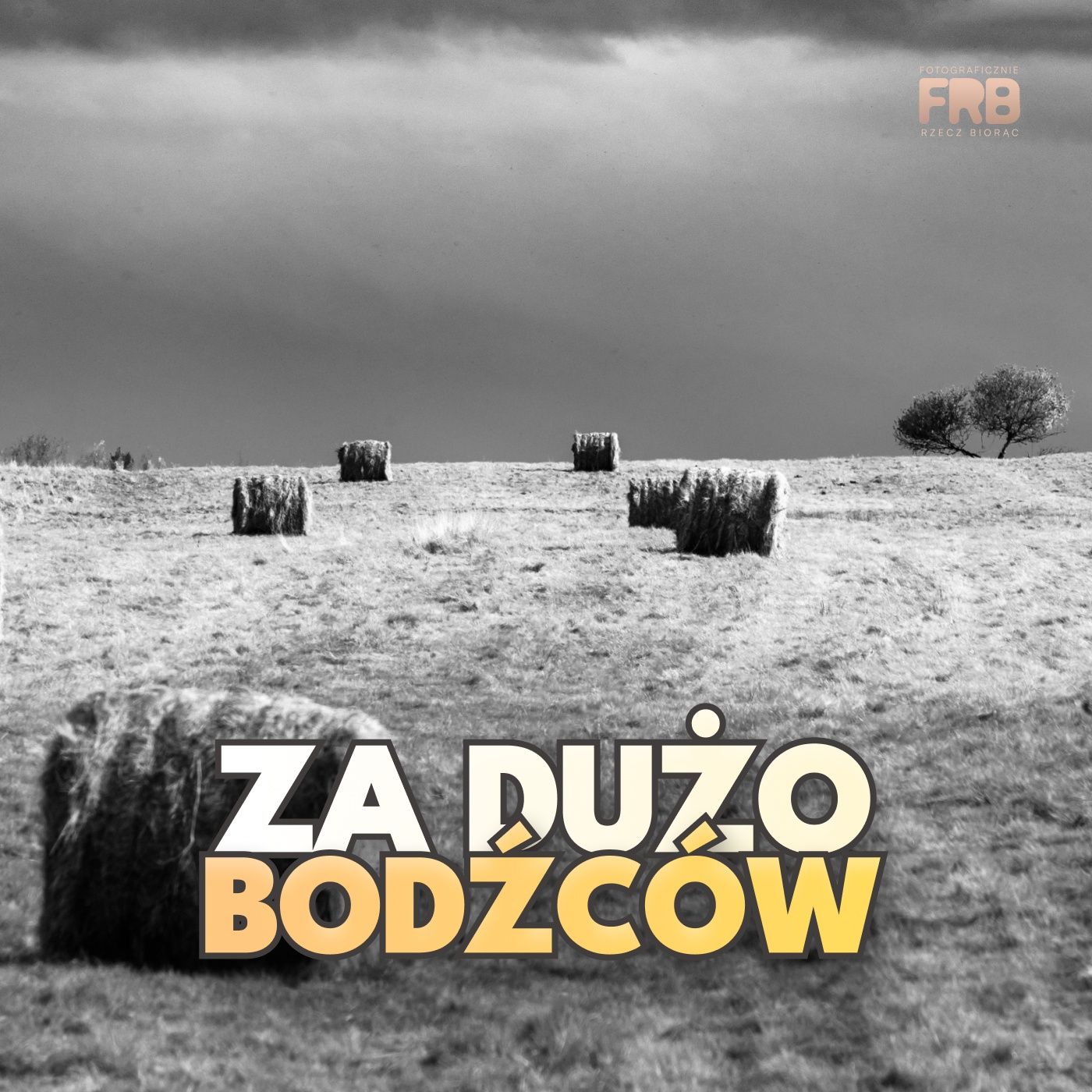 Fotograficznie Rzecz Biorąc