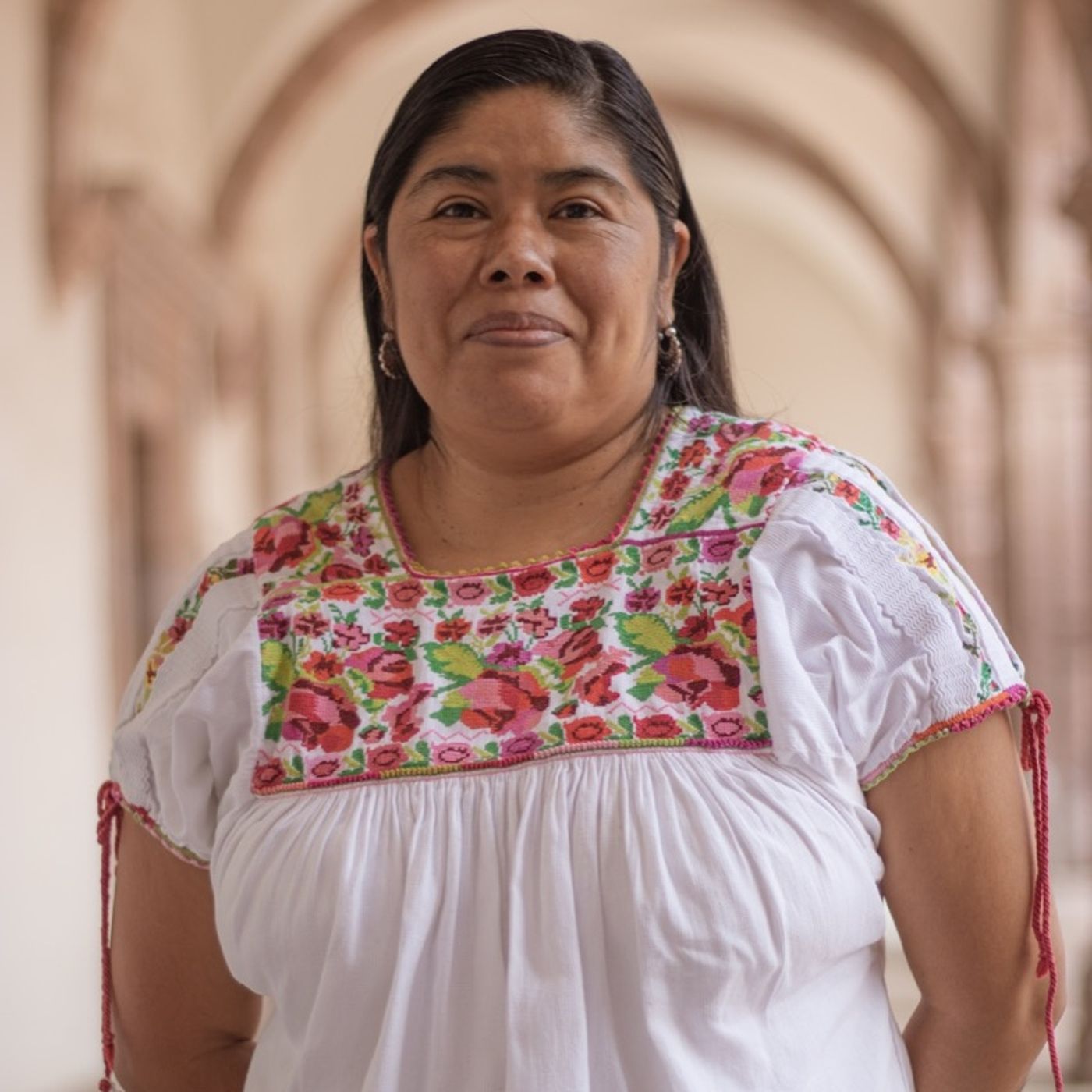 BiblioCast - Voz de las Bellas Artes
