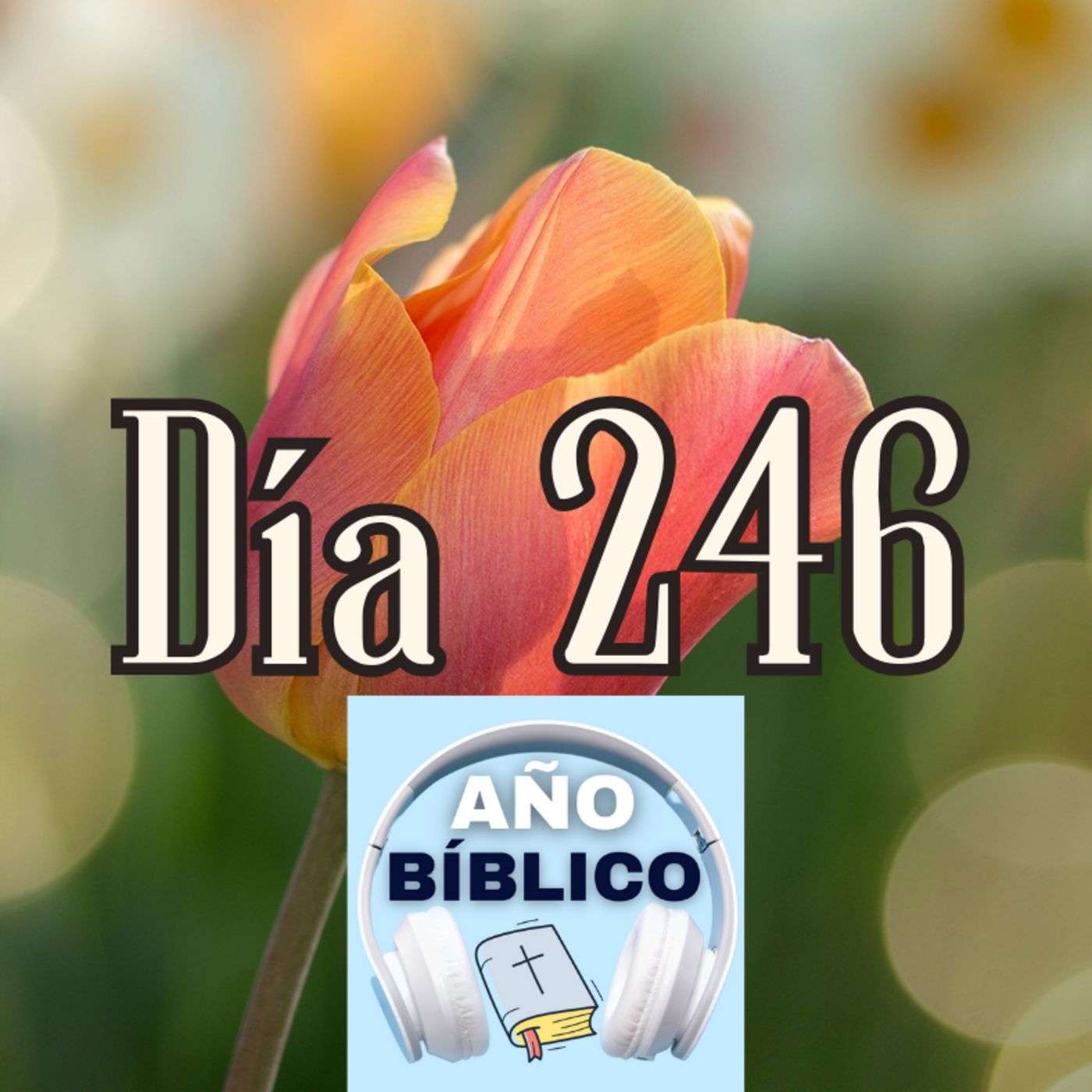 Día 246 - Salmo 102:18-22, Cantar de los Cantares 5-8 y 2 Corintios 5:11-21 episode artwork