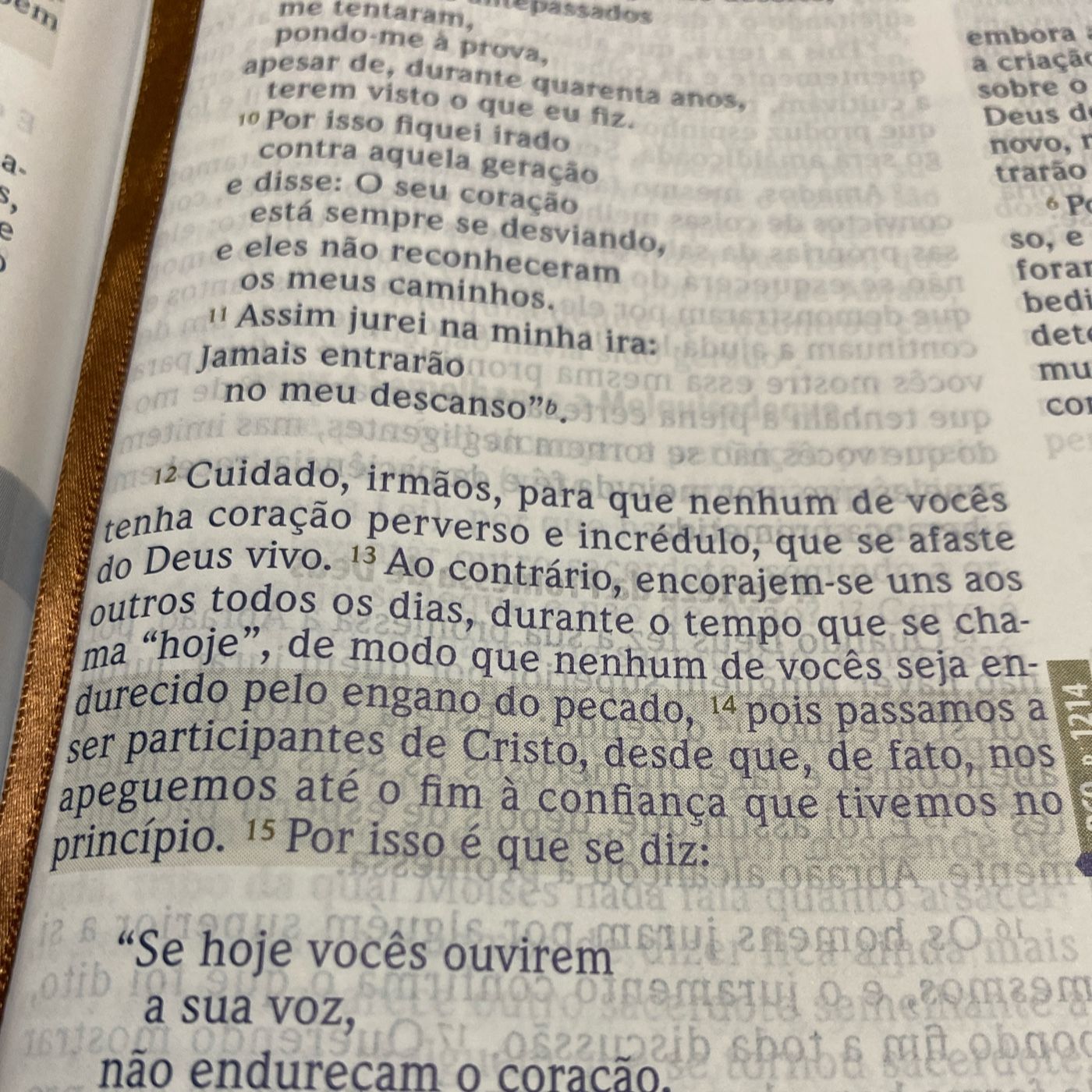 O ExortaDOR cover art