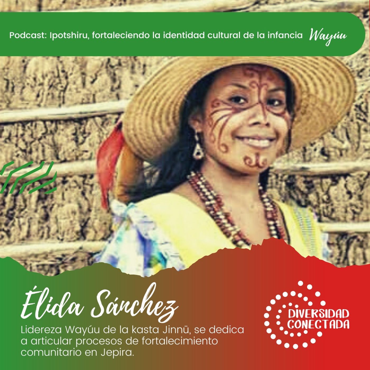 Diversidad Conectada