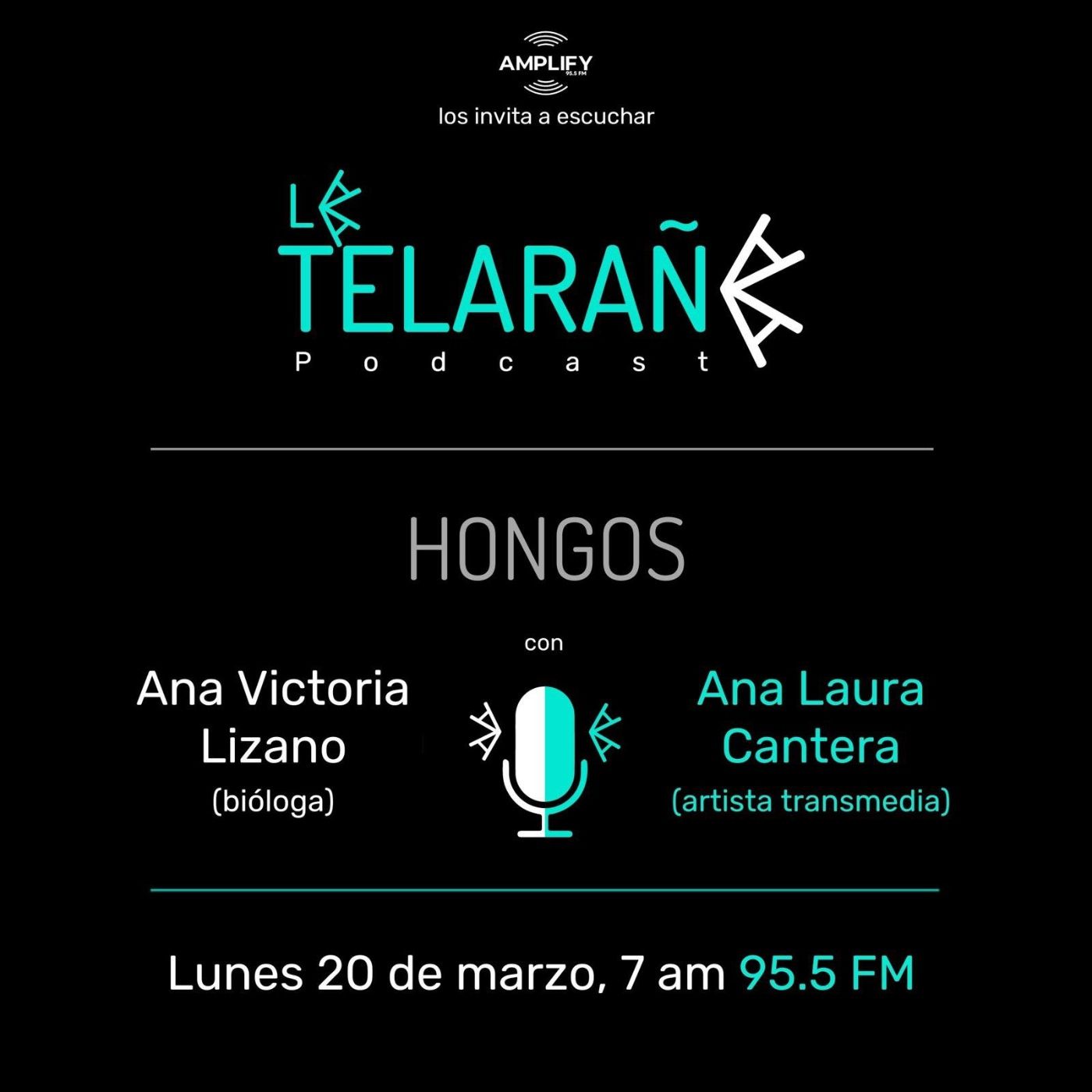 Portada de La Telaraña