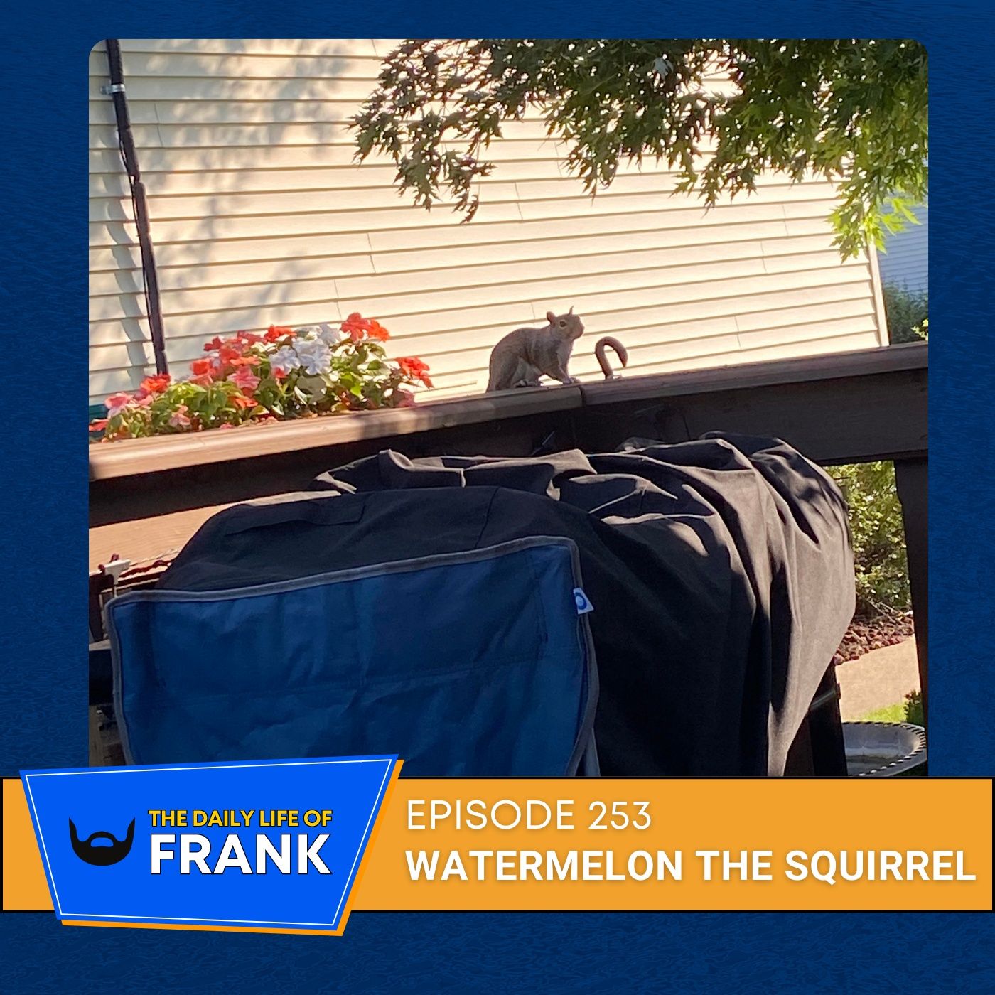 Episode 253: Watermelon the Squirrel episode artwork