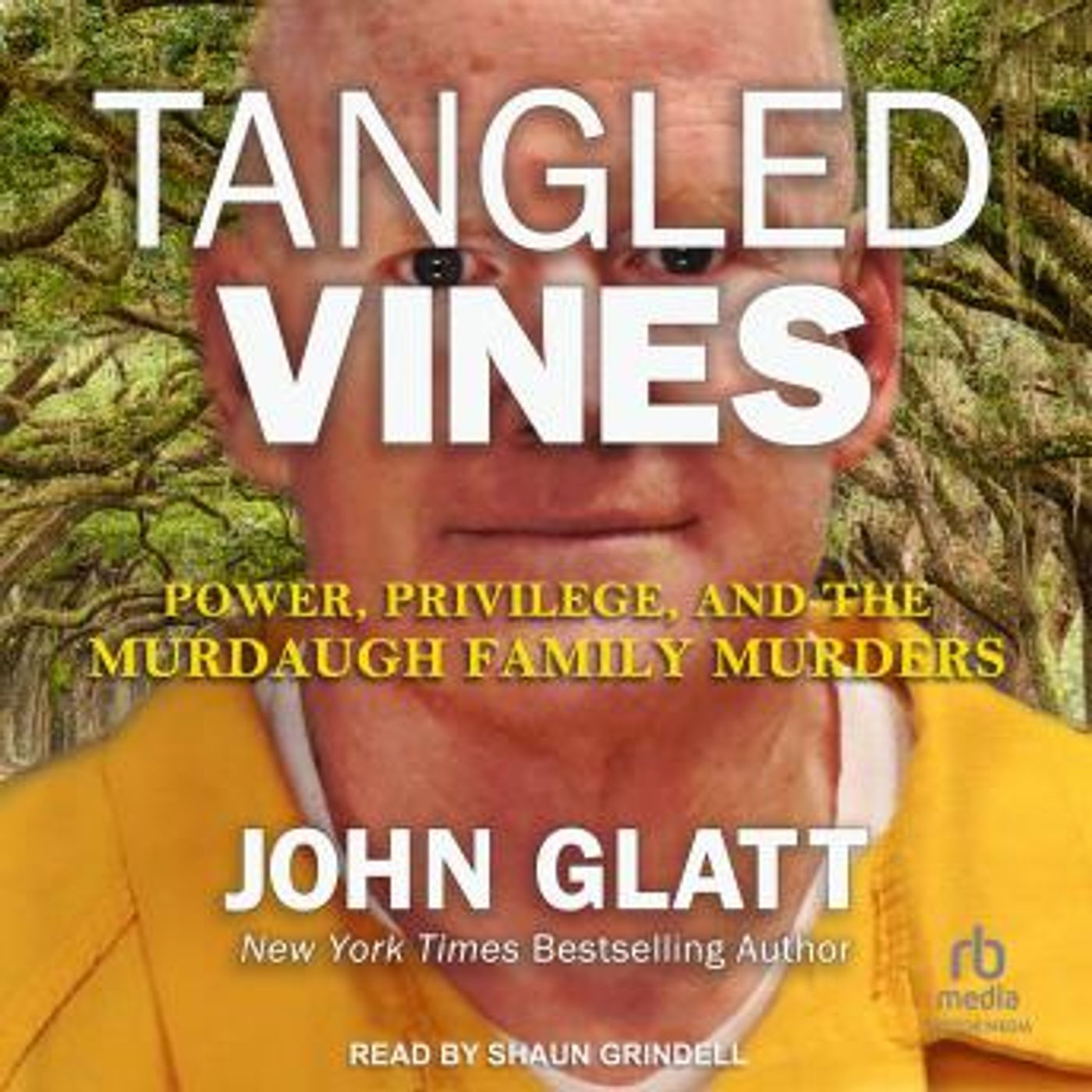 Stream Popular Full Audiobooks in Mystery, Thriller & Horror, True Crime