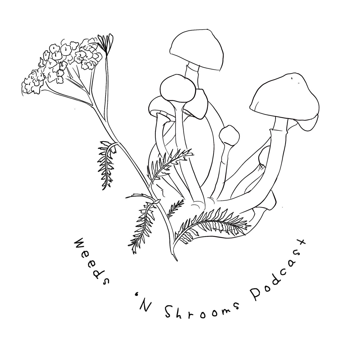 Weeds ‘N Shrooms
