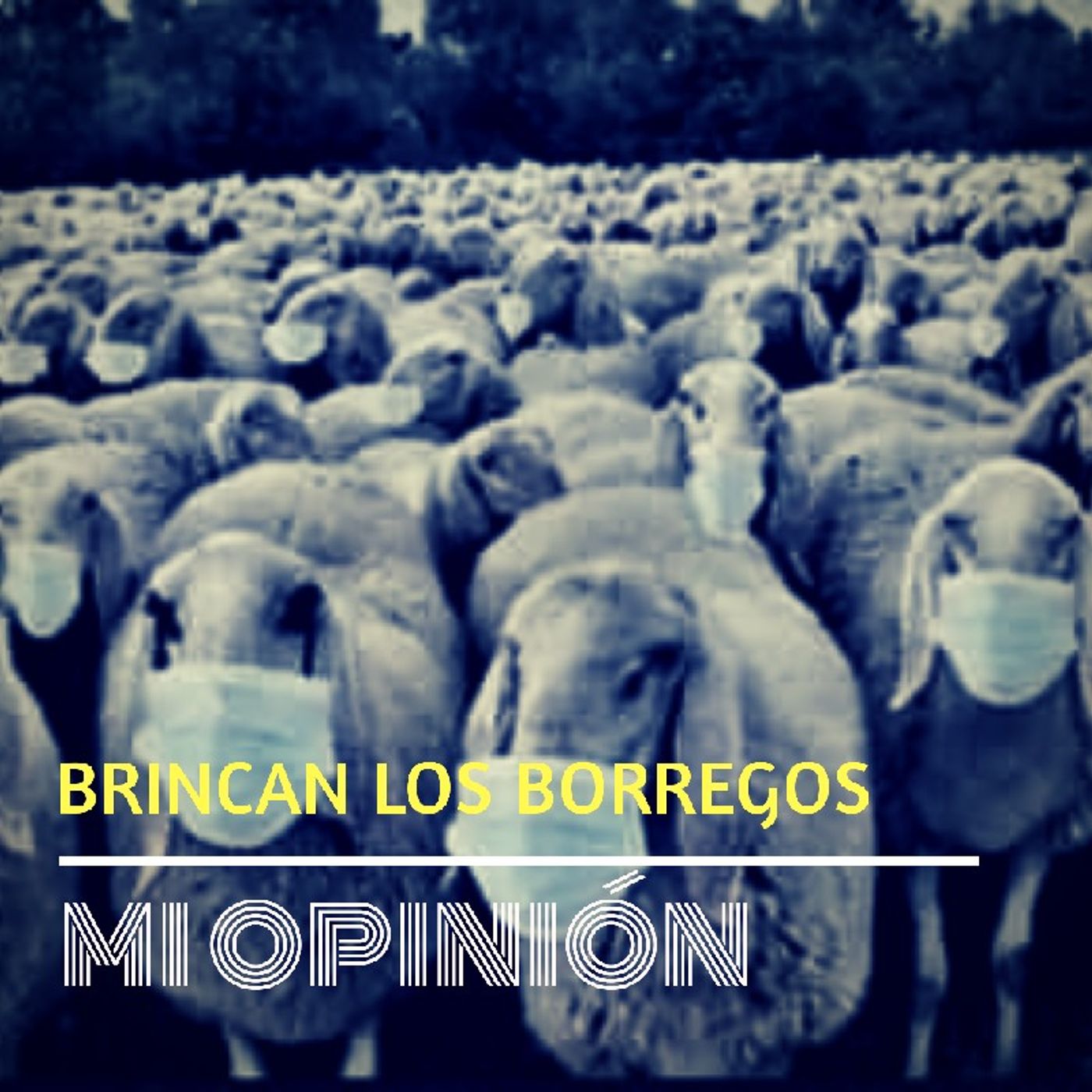 Episodio 13 - Brincan Los Borregos