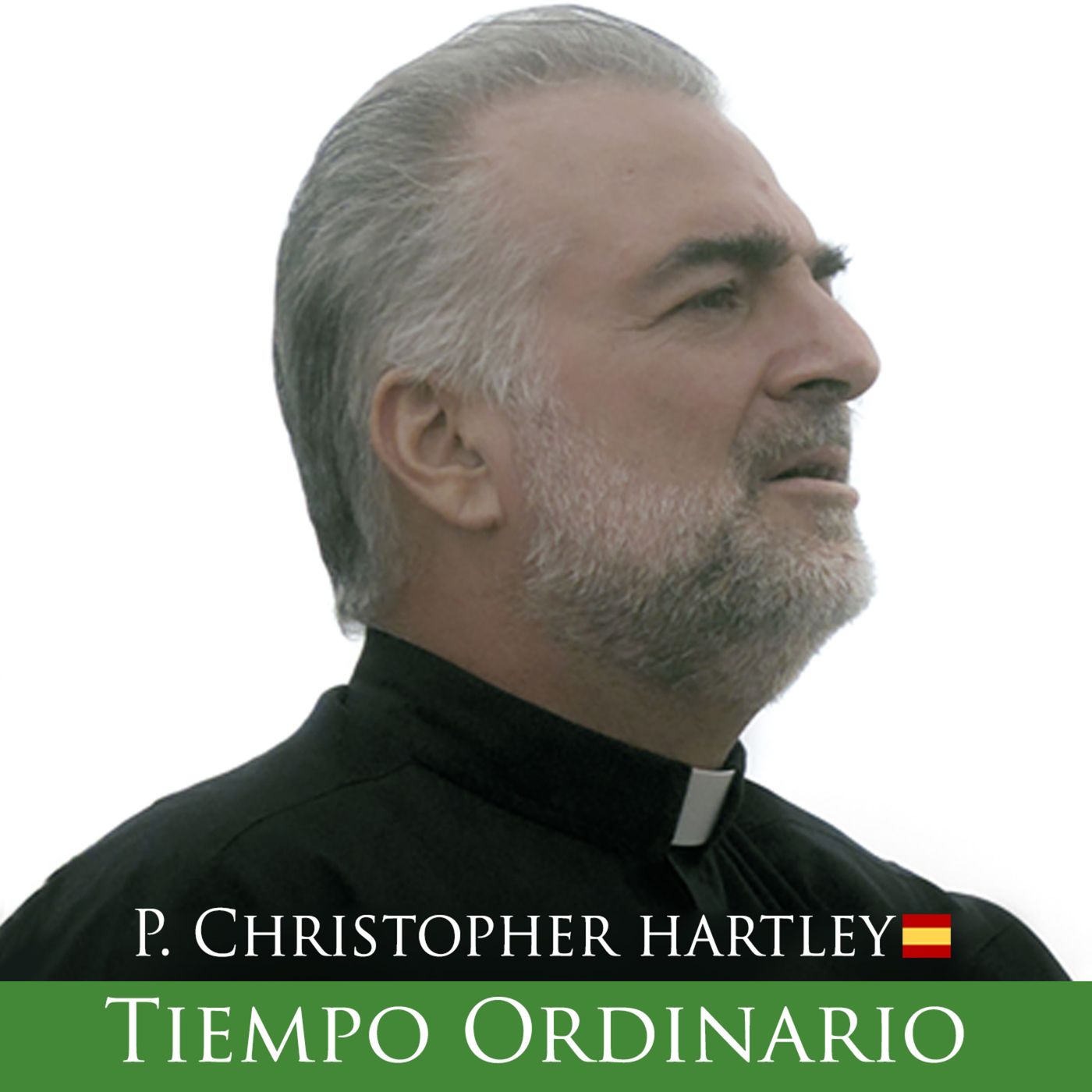 Padre Christopher Hartley | Reflexión del Evangelio del Día 🇪🇸