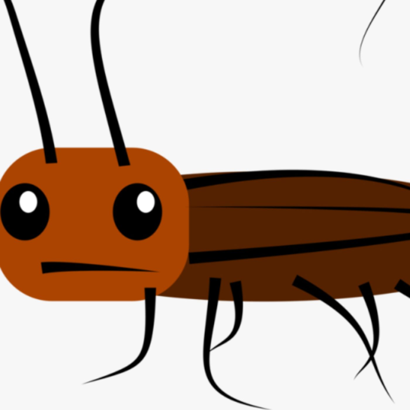 Comedians are like Cockroaches