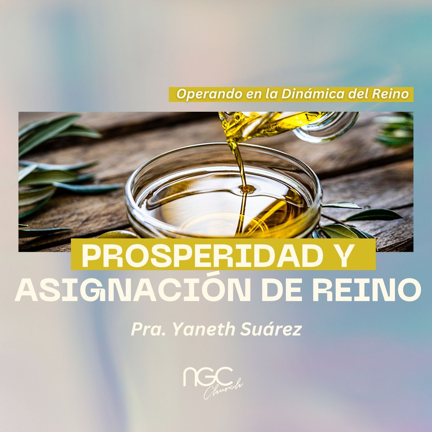 Prosperidad & Asignacion de Reino | Pra. Yaneth Suarez | Dinamica del Reino episode artwork