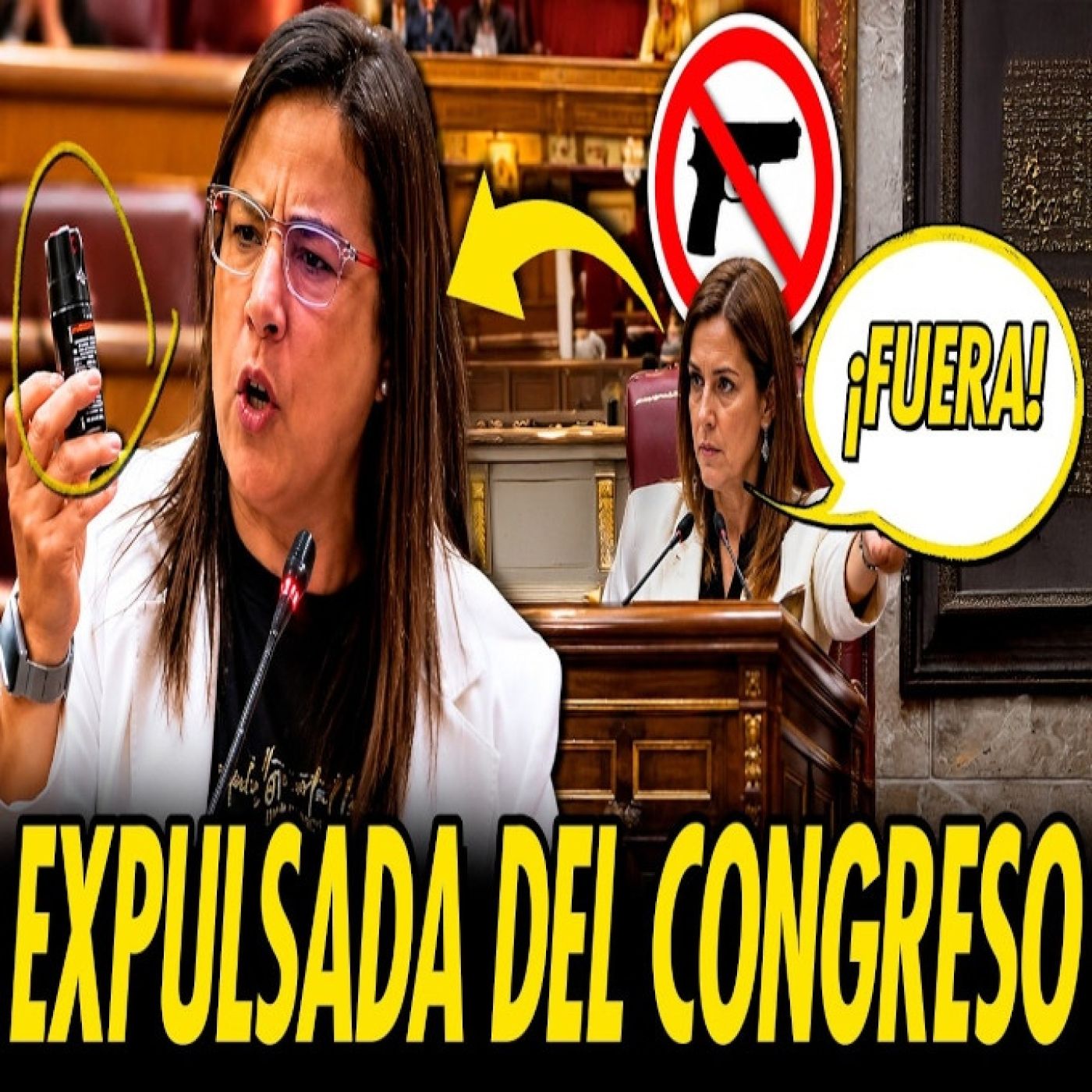 ANA VÁZQUEZ LA LÍA PARDÍSIMA EN EL CONGRESO CON EL SPRAY DE GAS PIMIENTA