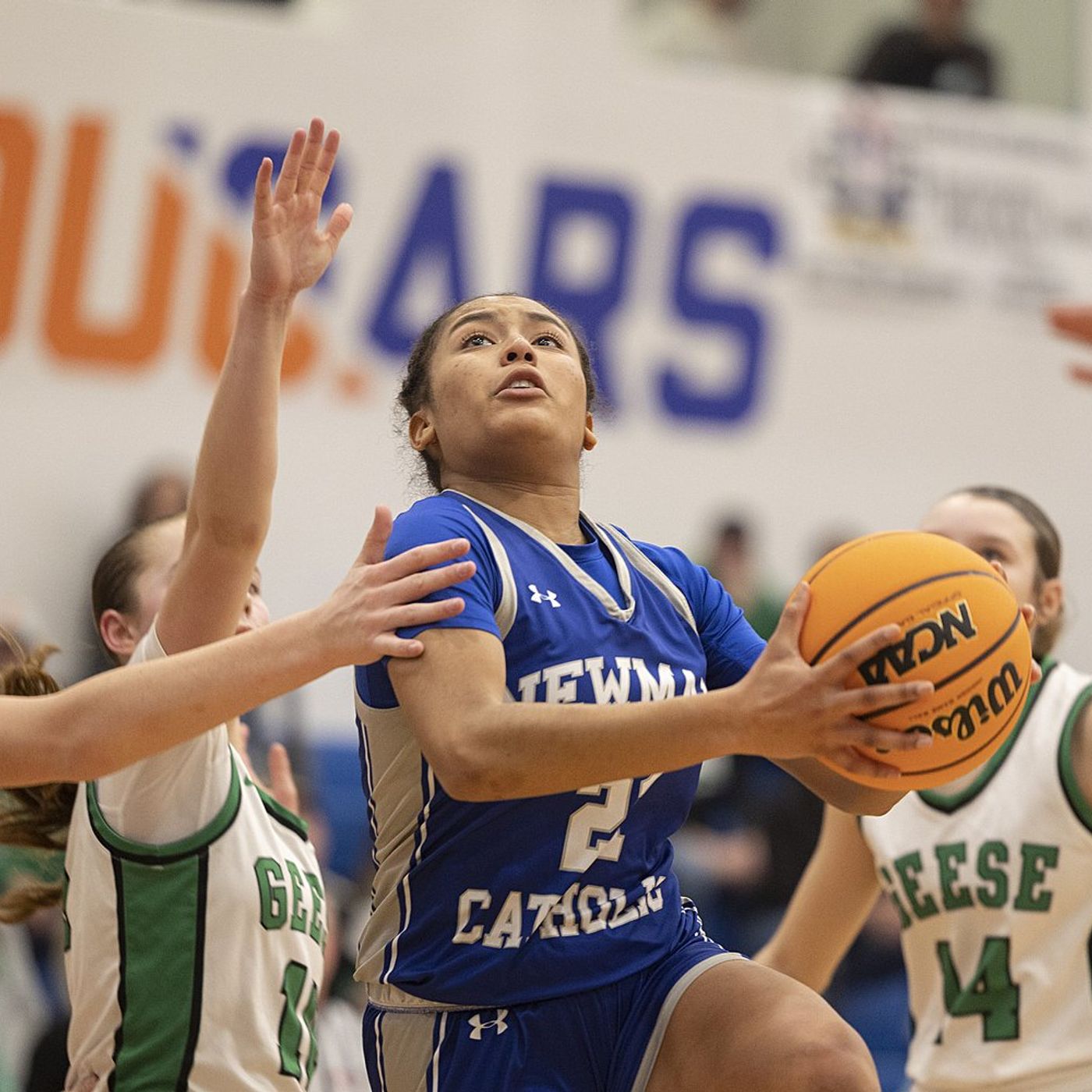 Wethersfield pulls away from Newman, advances to Elite 8 episode artwork
