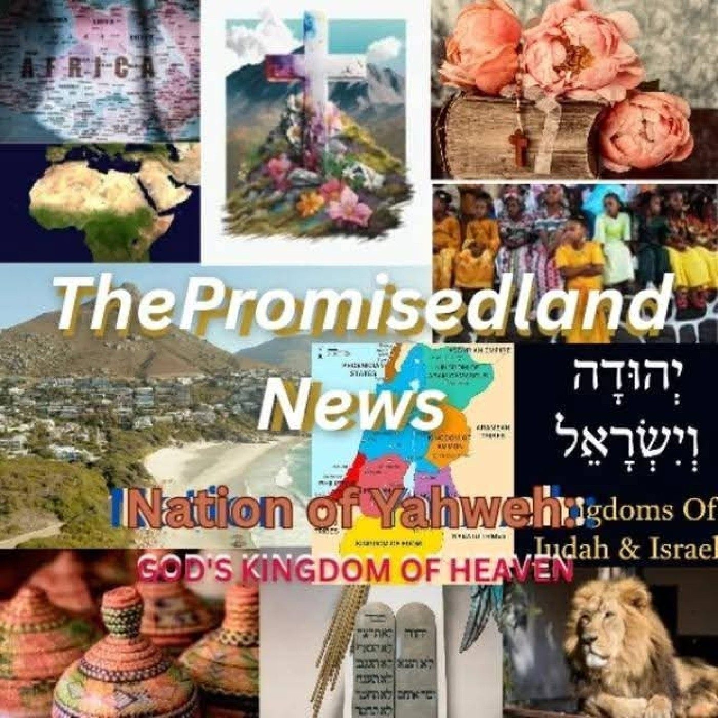 Thepromisedlandnews podcast artwork