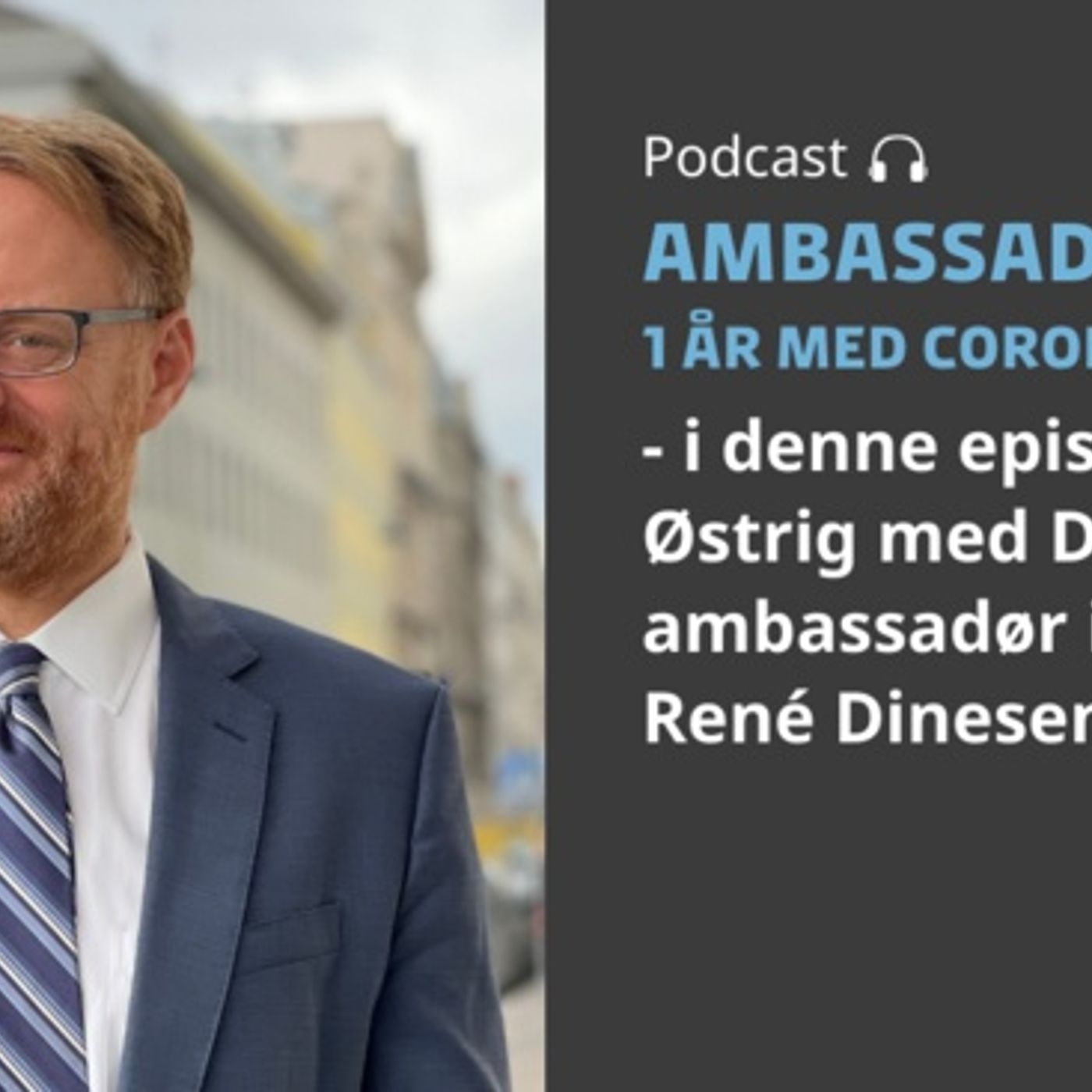 Ambassadørerne