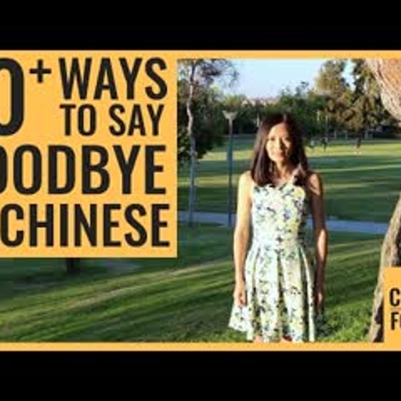 14 Ways to Say Goodbye in Chinese; Bye in Chinese; See You in Chinese episode artwork