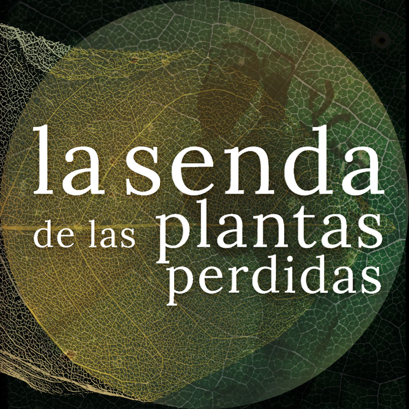 La Senda de las Plantas Perdidas